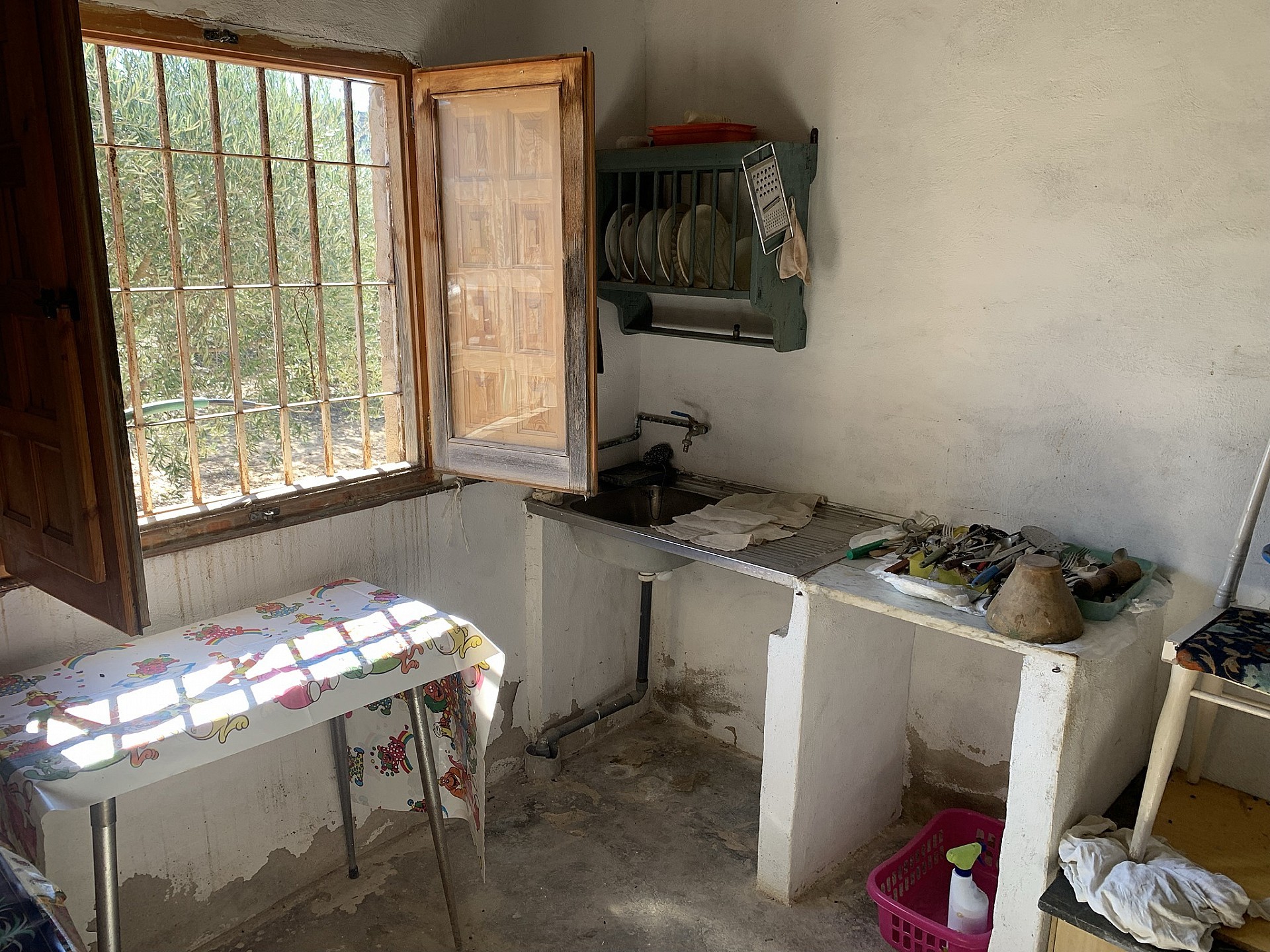 w_u3ntaneam4dcd2exjrbi