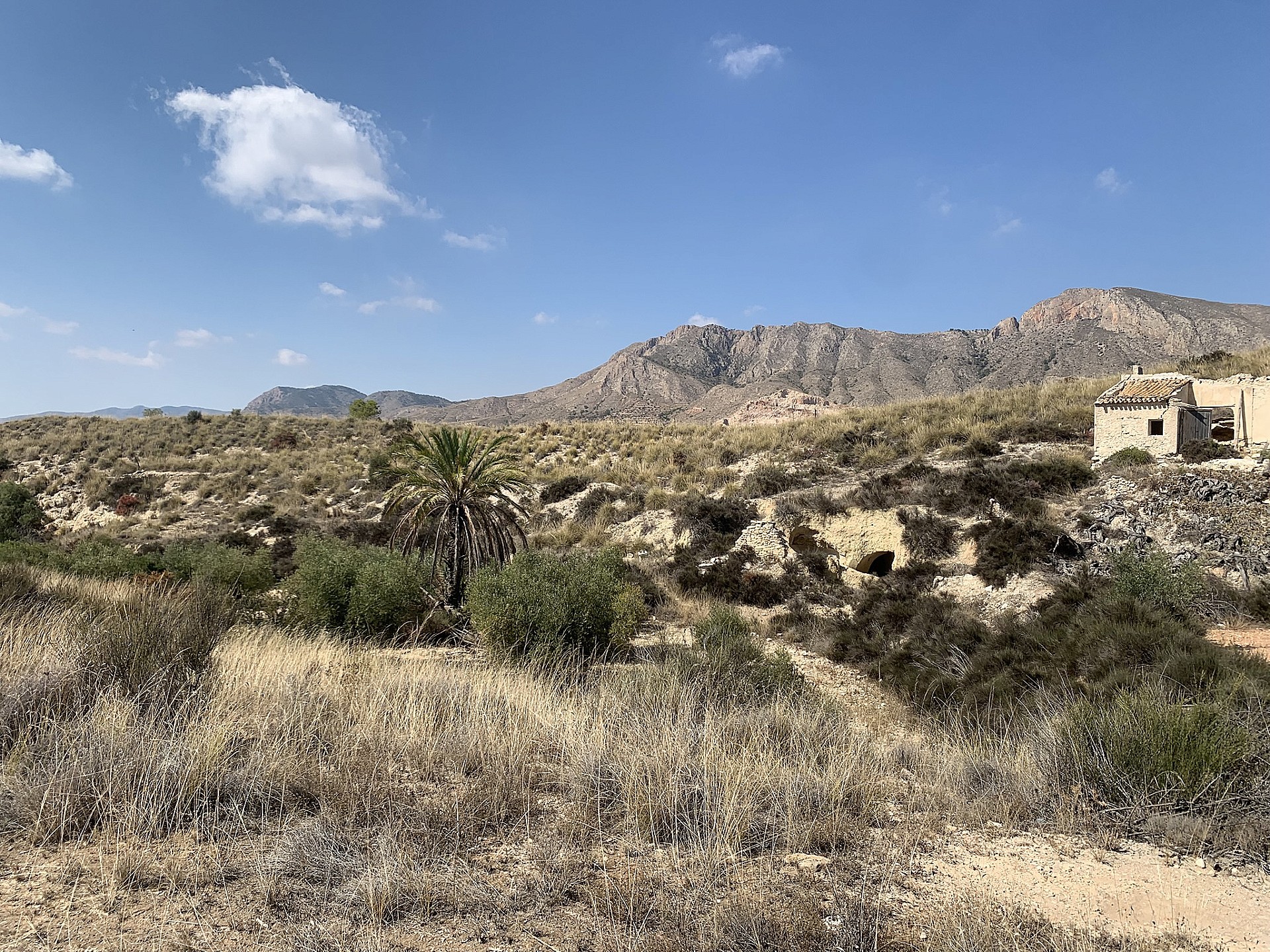 w_u4xbtbsaa0z8aviapnpg