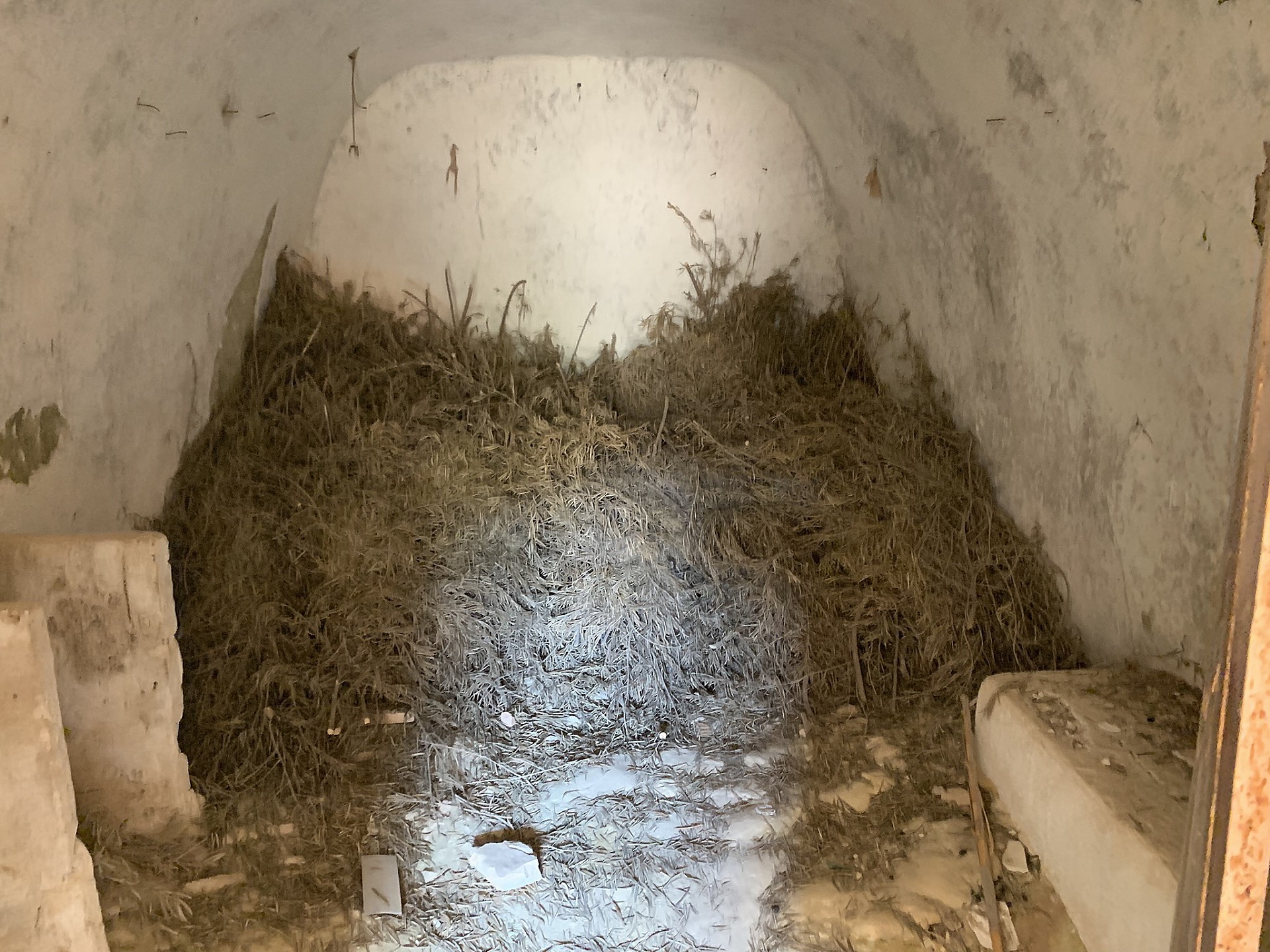 w_uvxt2zynj72q5iw58465