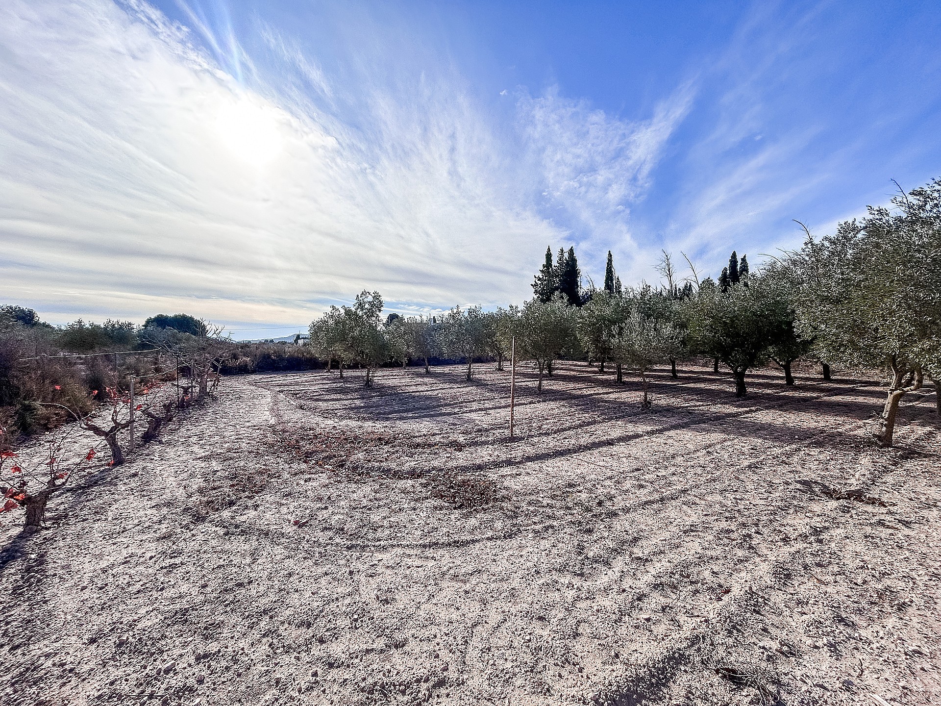 w_v2bvtu44vehcqdm8uoho