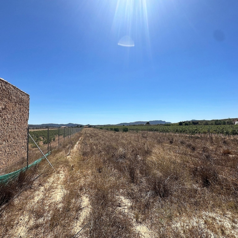 Grundstück in Pinoso (Alicante)
