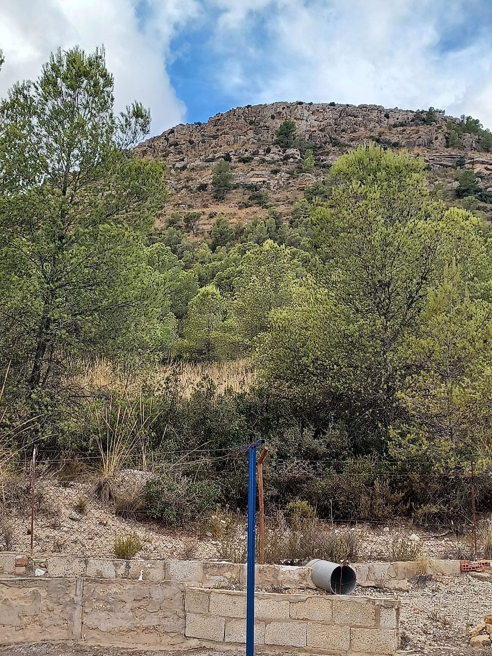 w_vi2tauaf6fipwejtdrbk