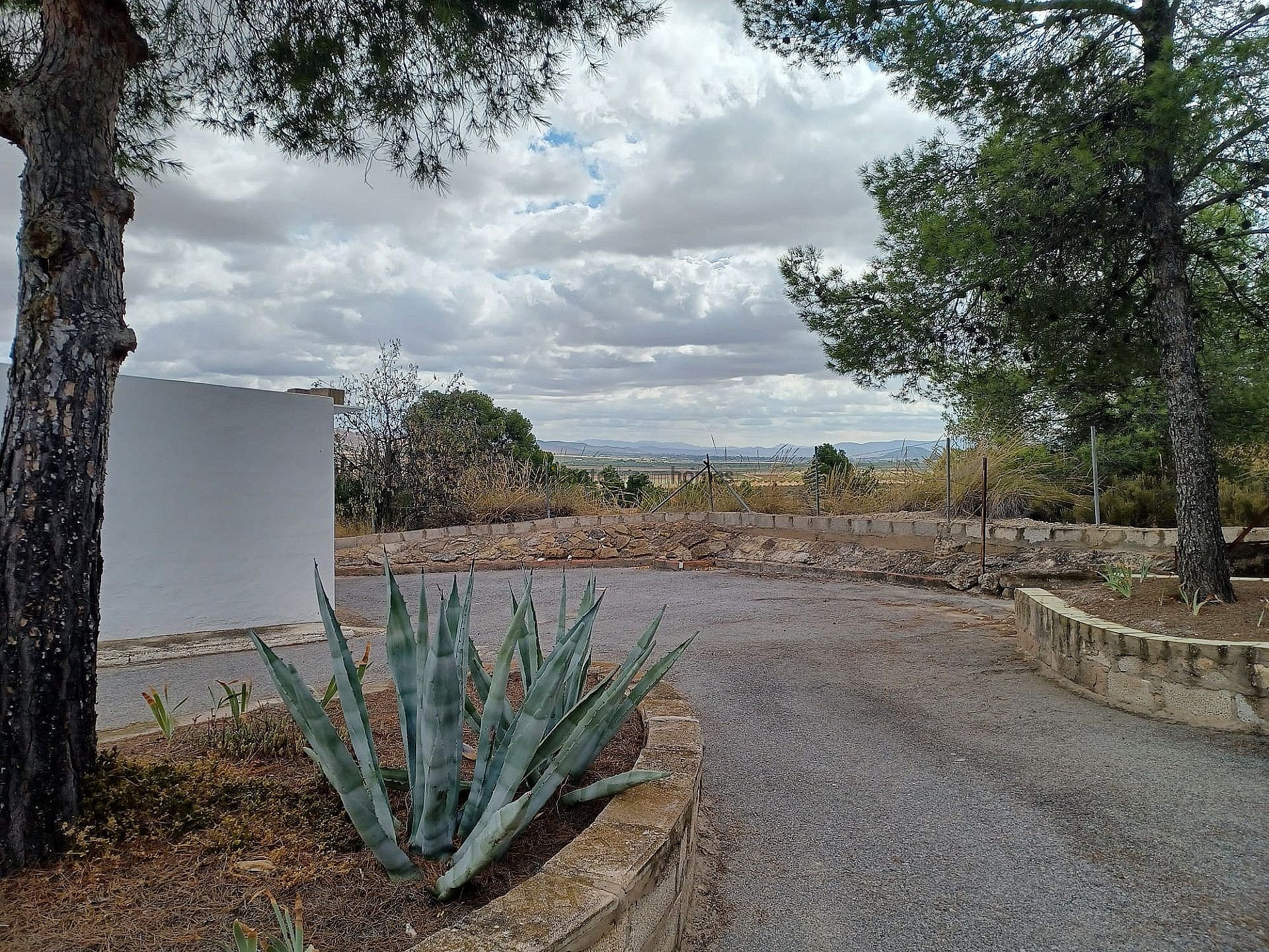 w_vvfcbhejwaujjfy7dg3o