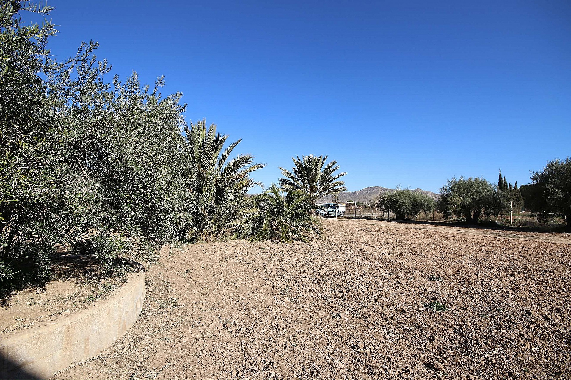 w_vzo3tv6gdu4nop5g7jve