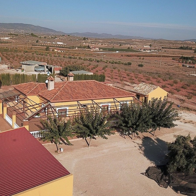 Villa in Pinoso (Alicante)