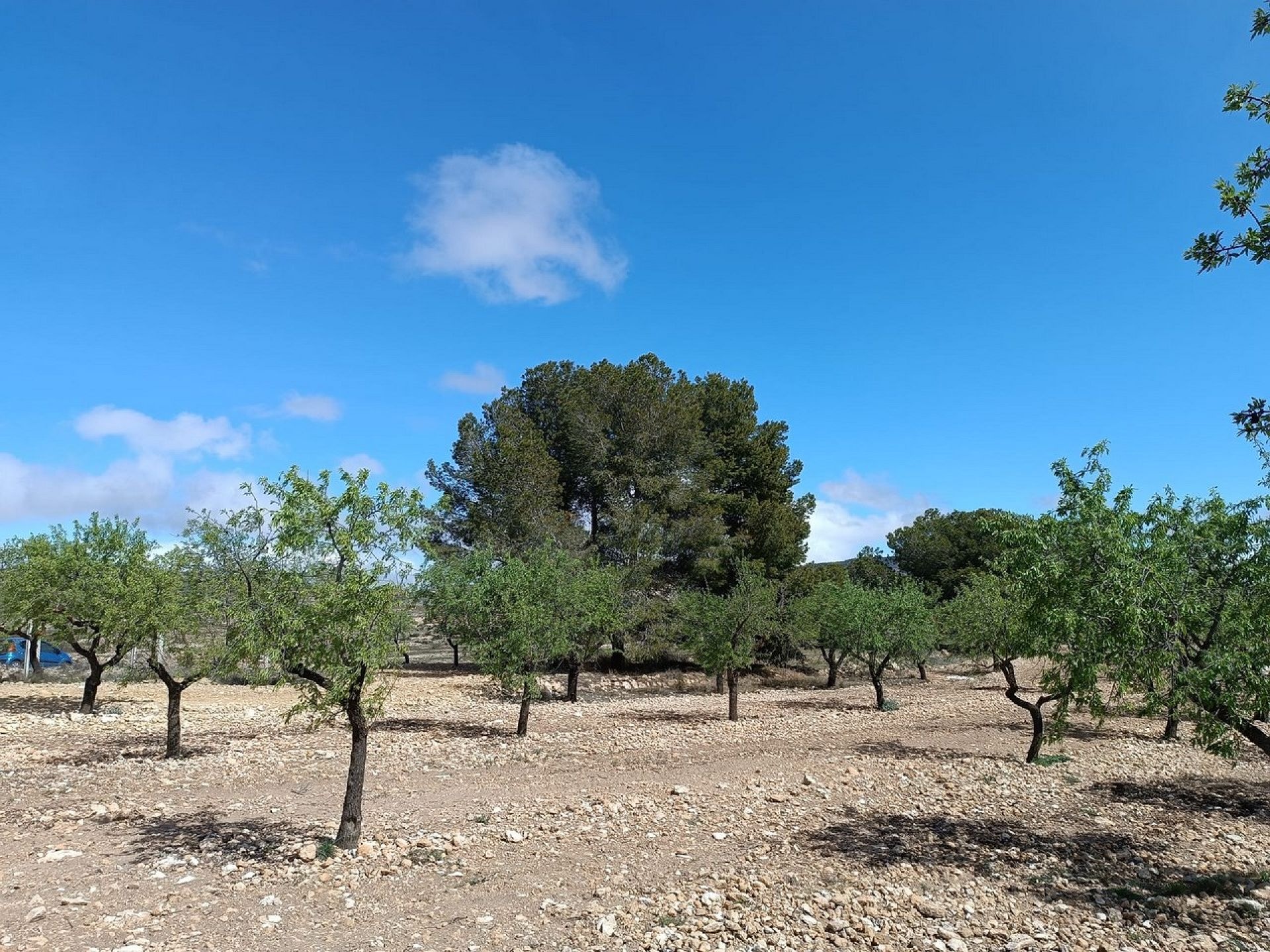 w_whatsapp-image-2025-04-02-at-11.16.57