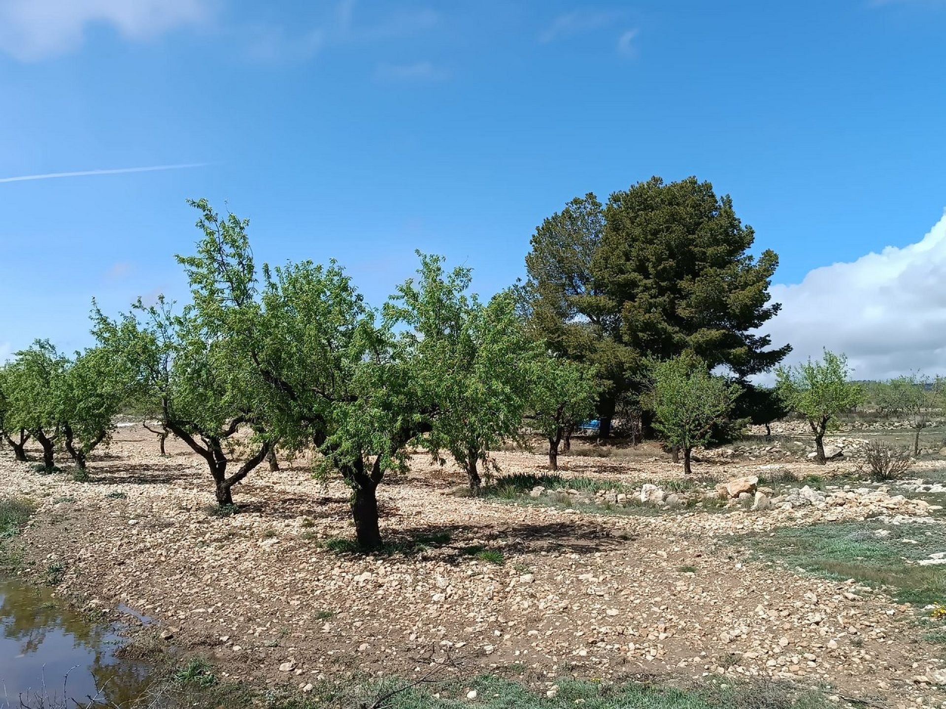 w_whatsapp-image-2025-04-02-at-11.16.59