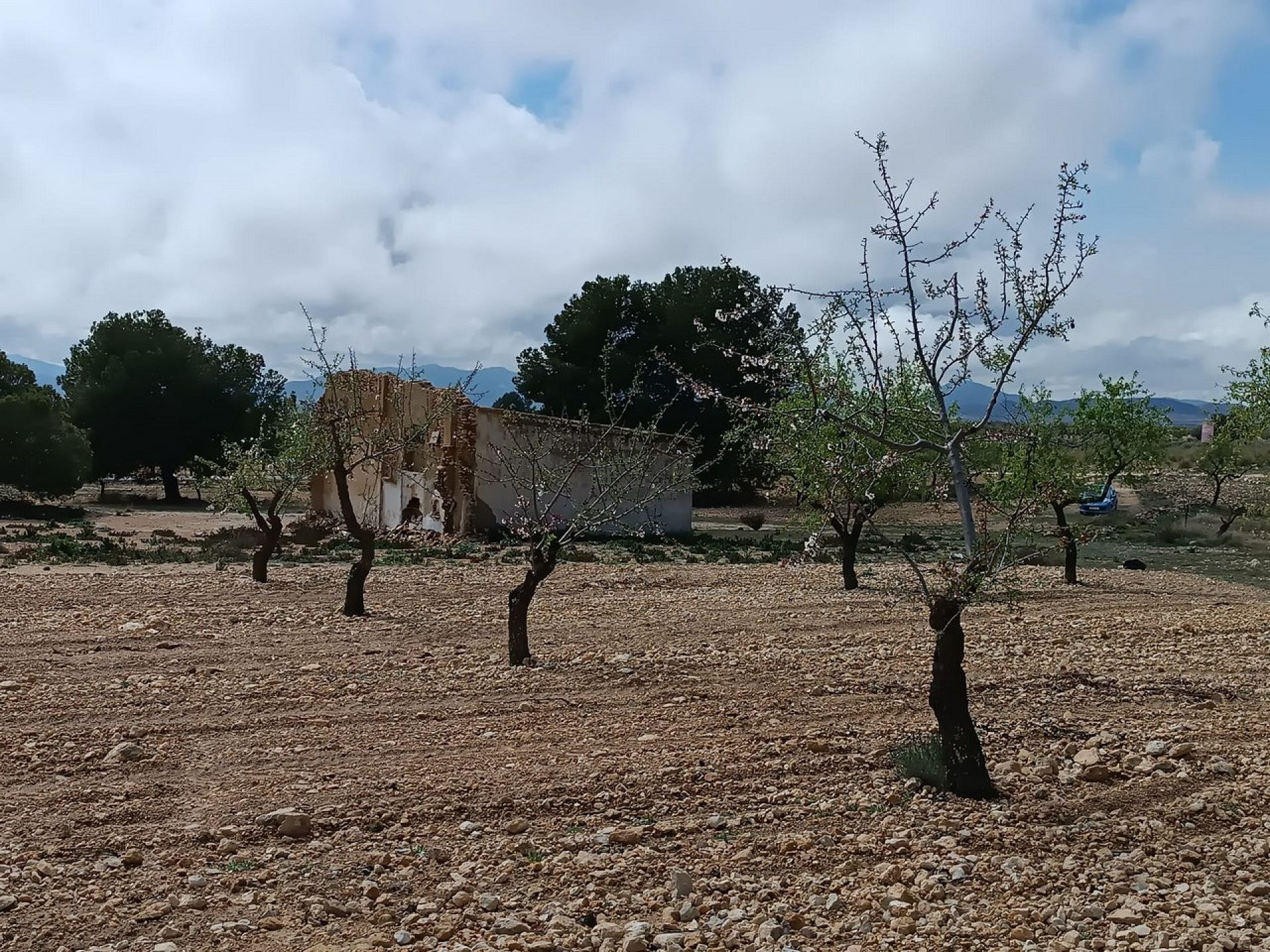 w_whatsapp-image-2025-04-02-at-11.17.03-1-