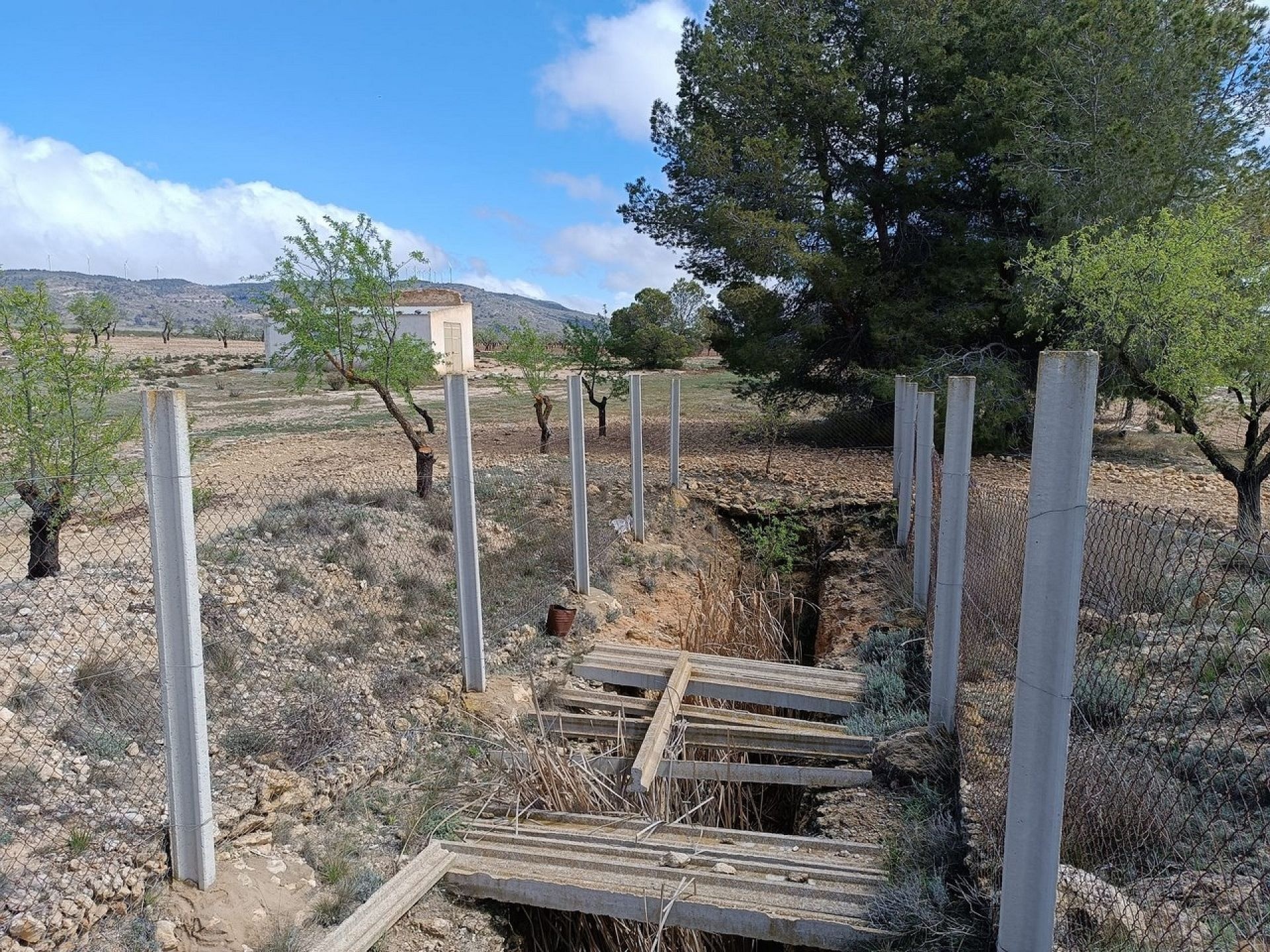 w_whatsapp-image-2025-04-02-at-11.17.03