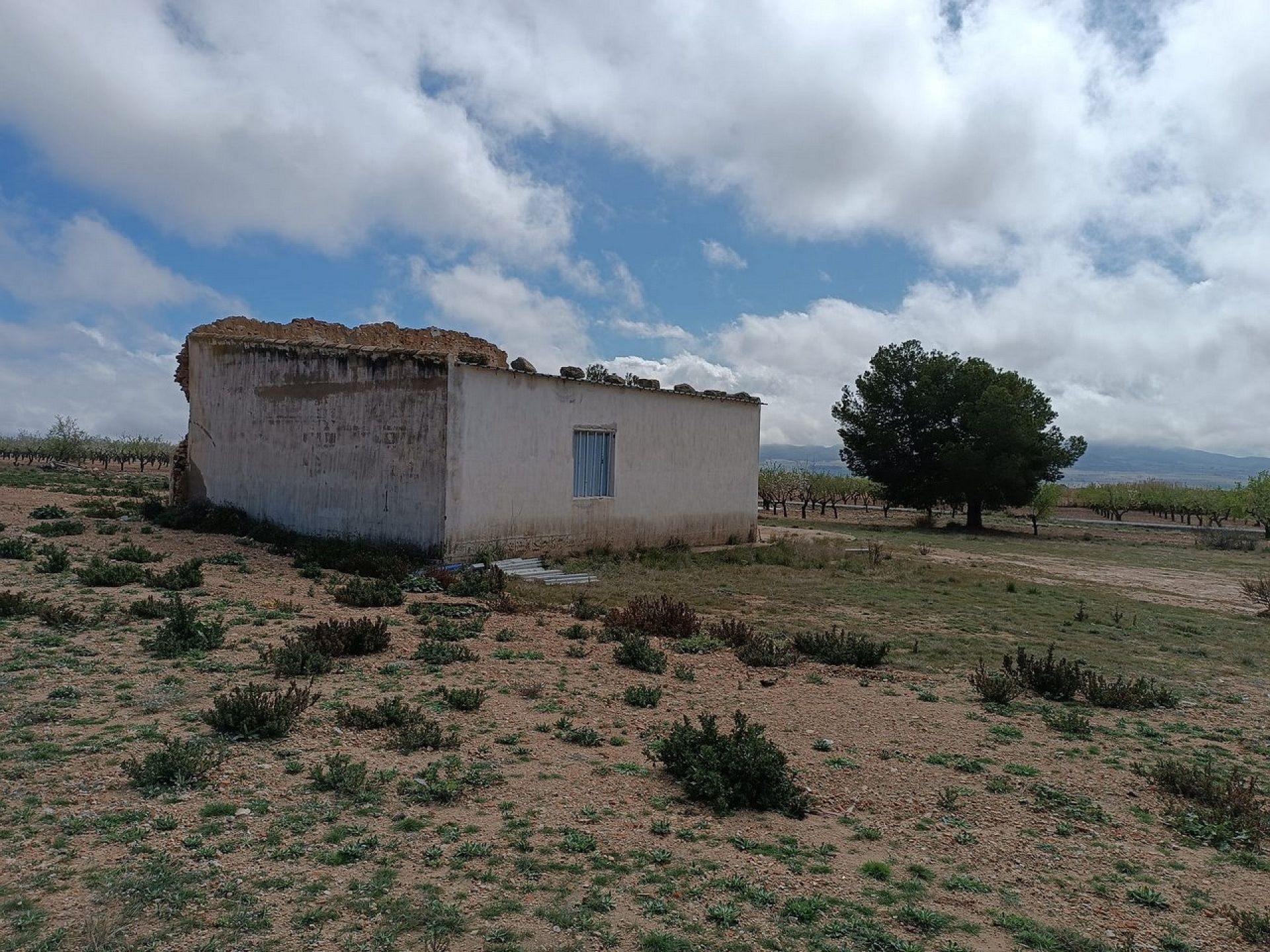 w_whatsapp-image-2025-04-02-at-11.17.04-1-