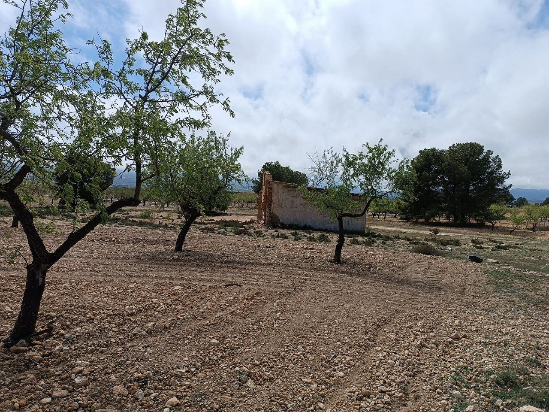 w_whatsapp-image-2025-04-02-at-11.17.04