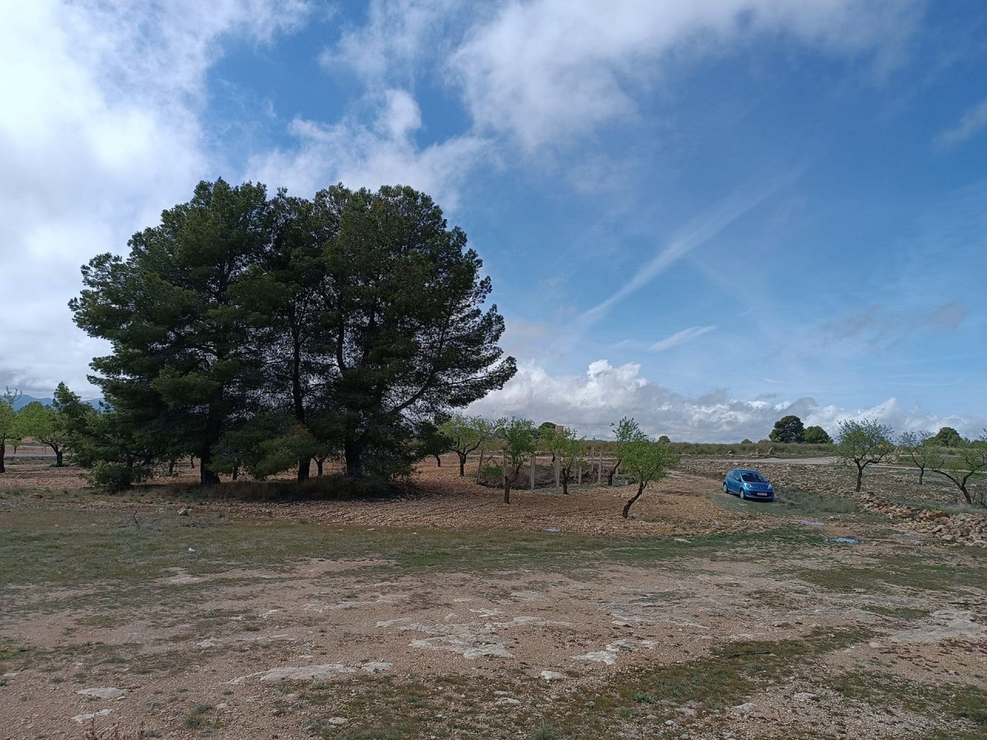 w_whatsapp-image-2025-04-02-at-11.17.05