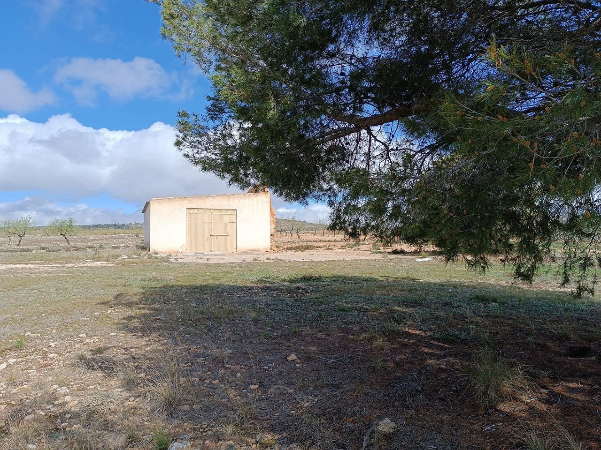 w_whatsapp-image-2025-04-02-at-11.17.08-1-