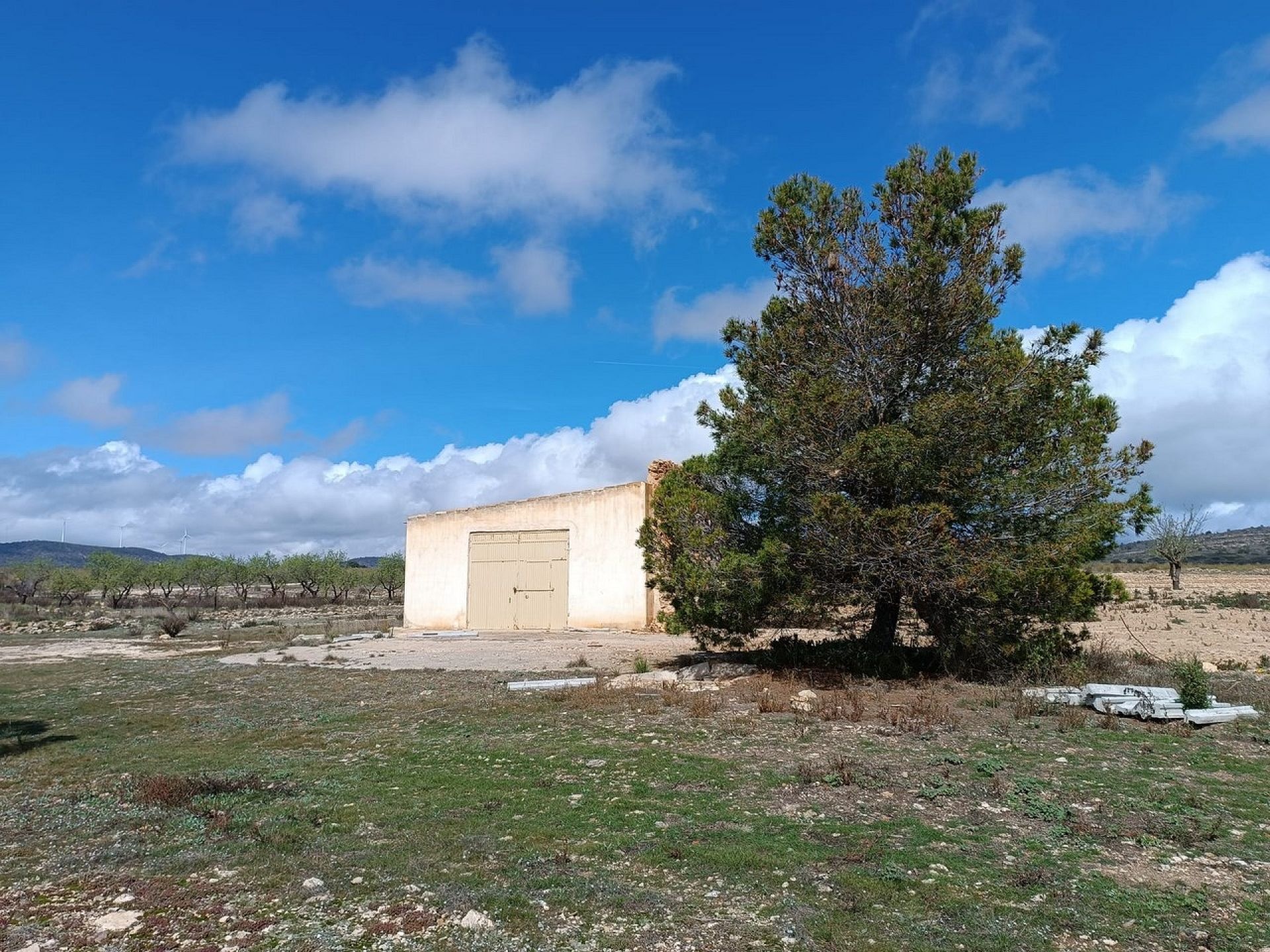 w_whatsapp-image-2025-04-02-at-11.17.08-2-