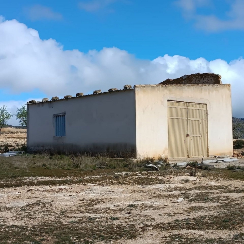 Grundstück in Yecla (Murcia)