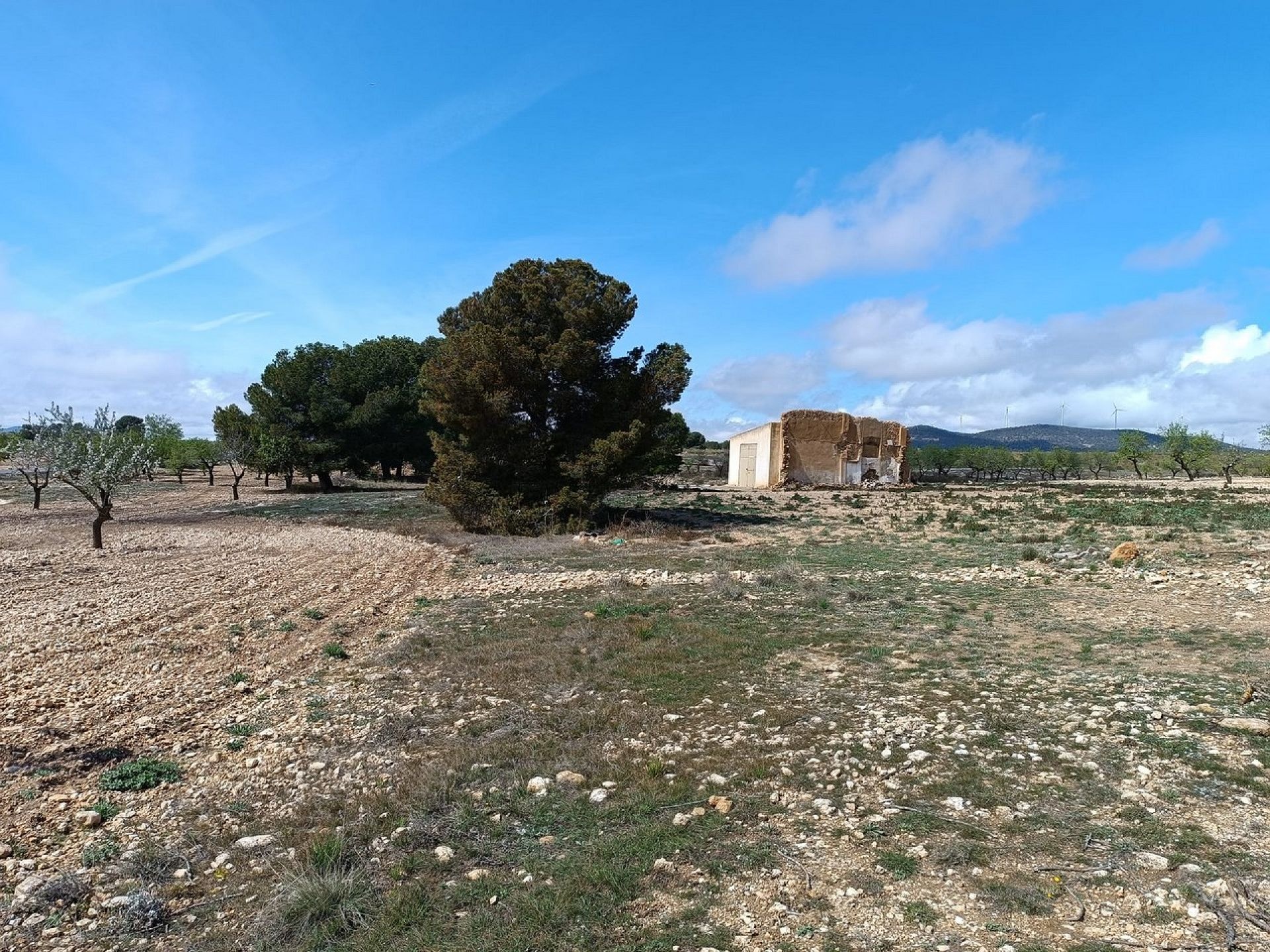 w_whatsapp-image-2025-04-02-at-11.17.09-1-