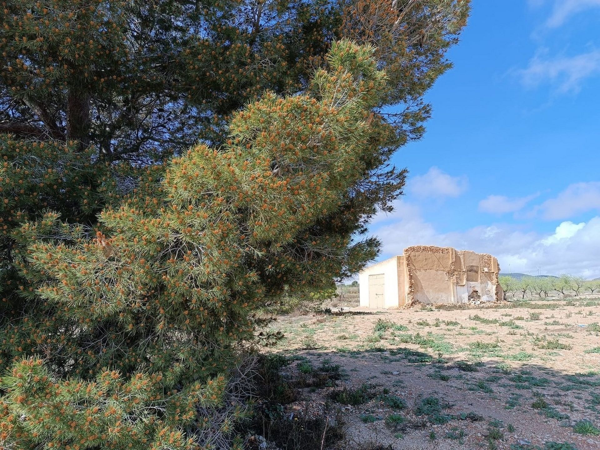 w_whatsapp-image-2025-04-02-at-11.17.09