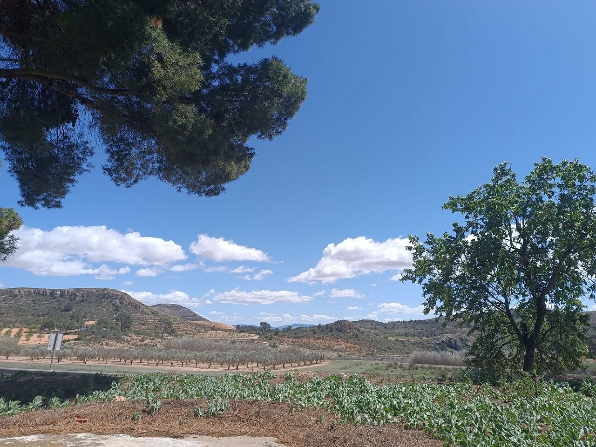 w_whatsapp-image-2025-04-16-at-17.08.07-9-