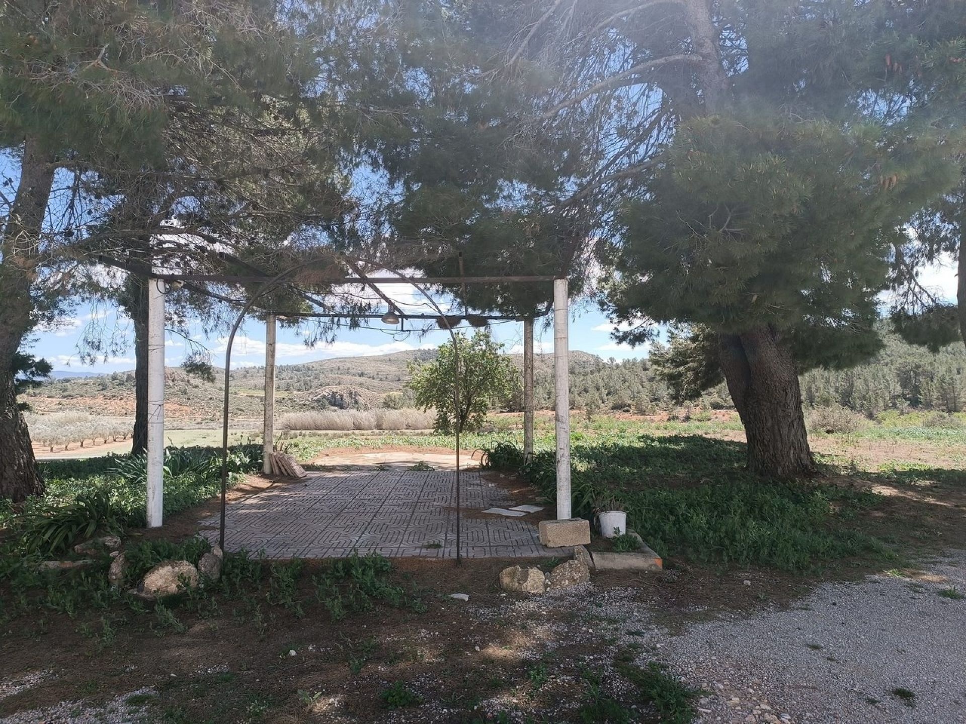 w_whatsapp-image-2025-04-16-at-17.08.08-1-