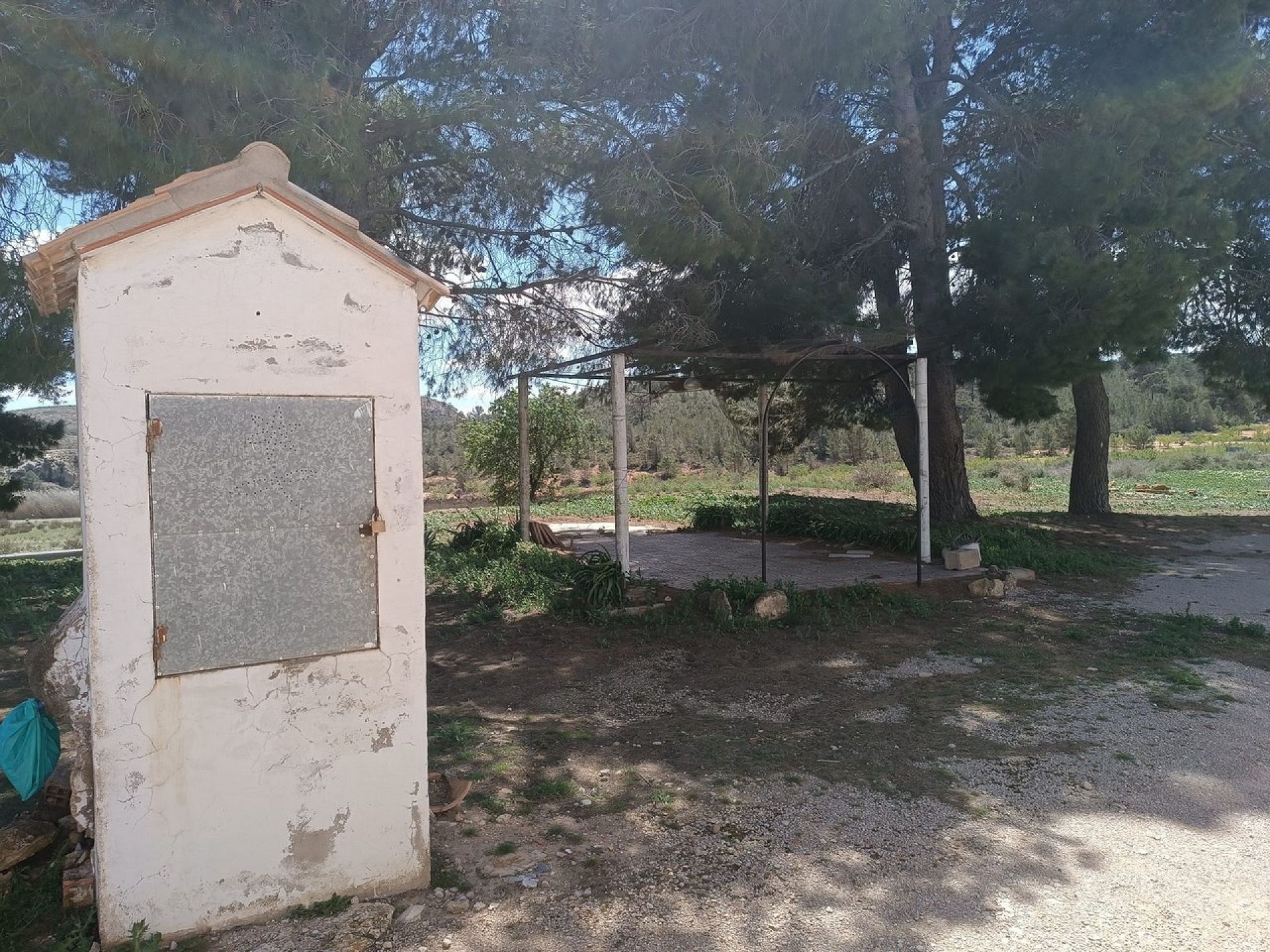 w_whatsapp-image-2025-04-16-at-17.08.08-2-