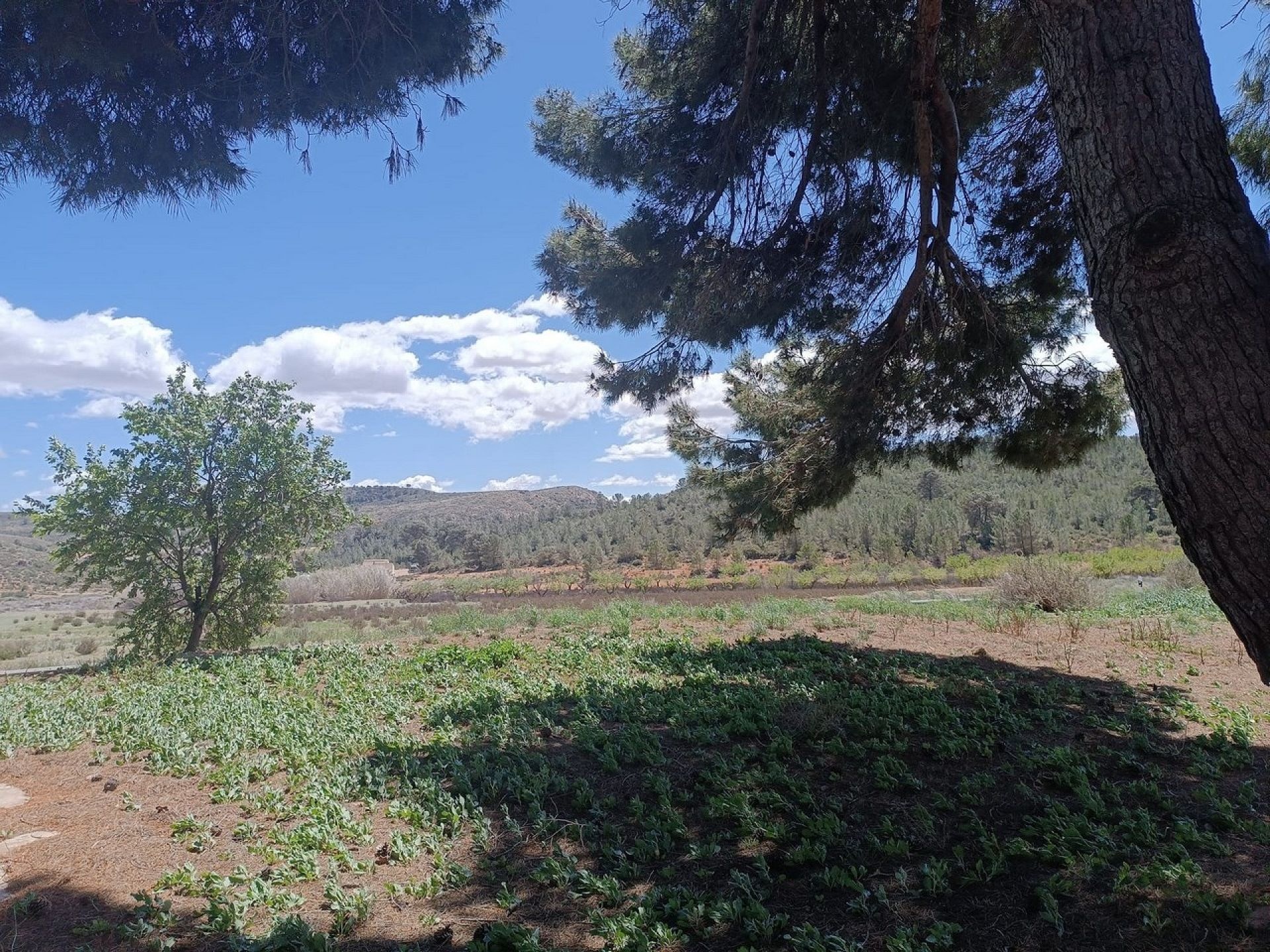 w_whatsapp-image-2025-04-16-at-17.08.08