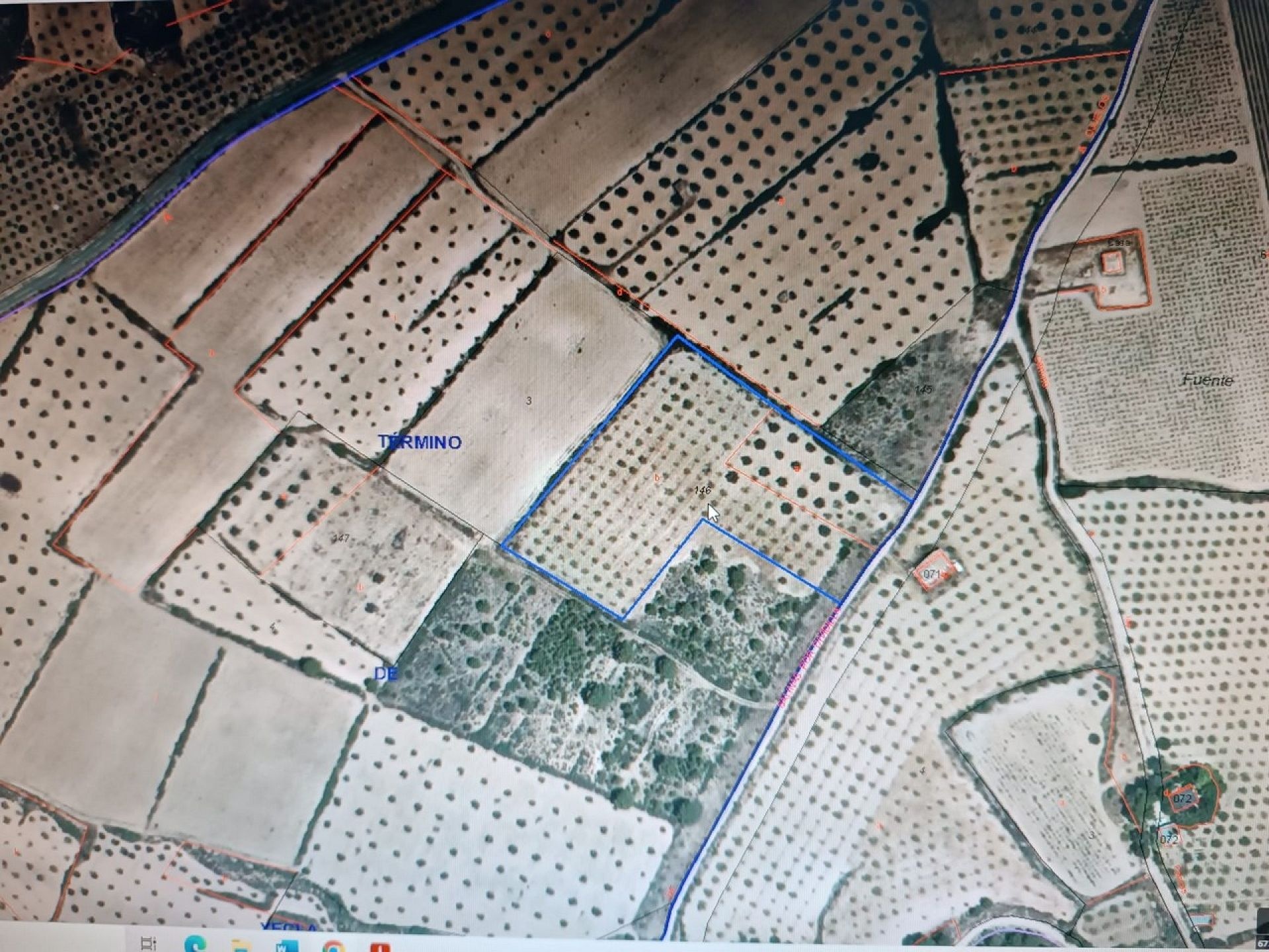 w_whatsapp-image-2025-04-24-at-17.58.46-1-