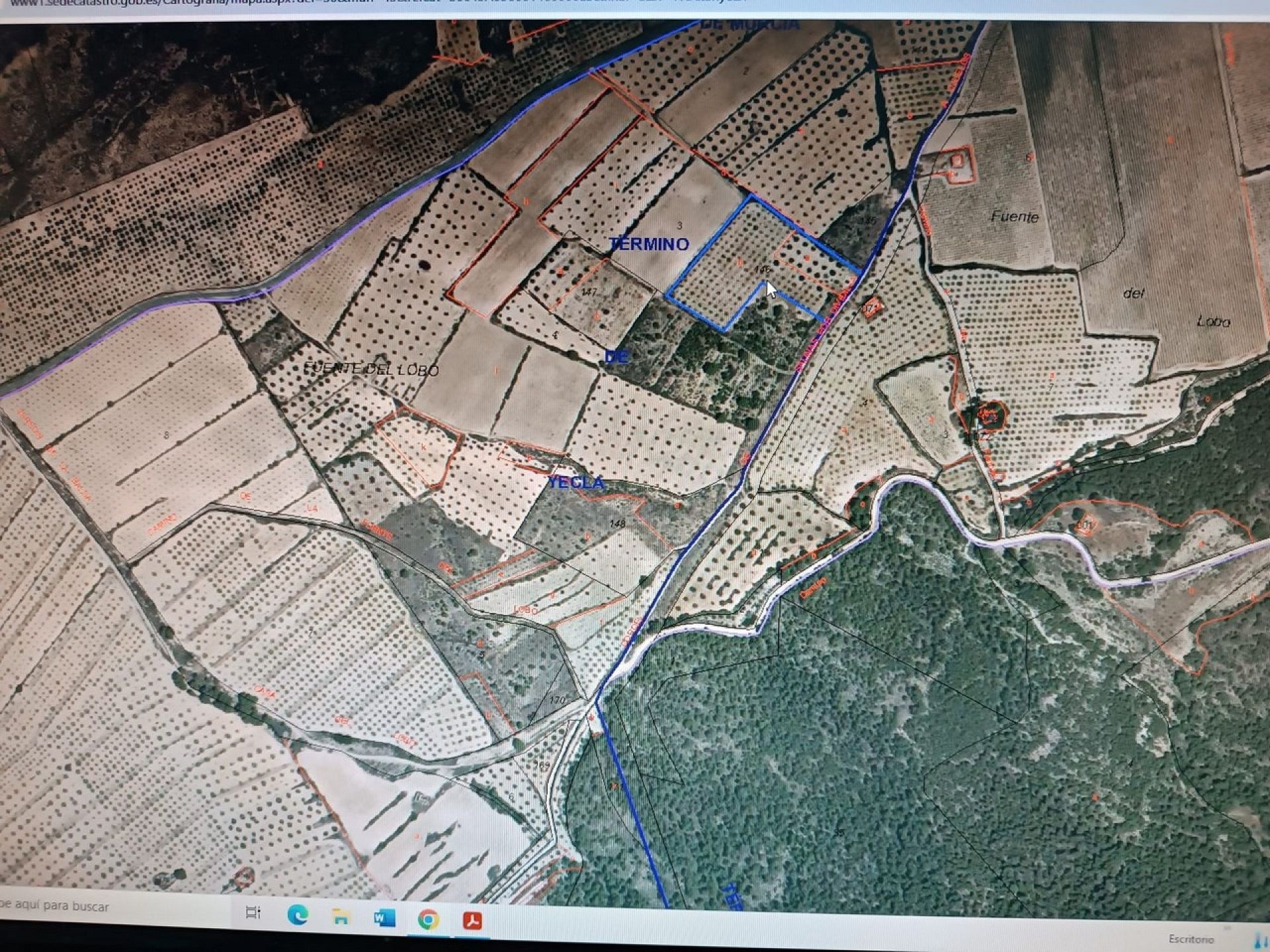 w_whatsapp-image-2025-04-24-at-17.58.46