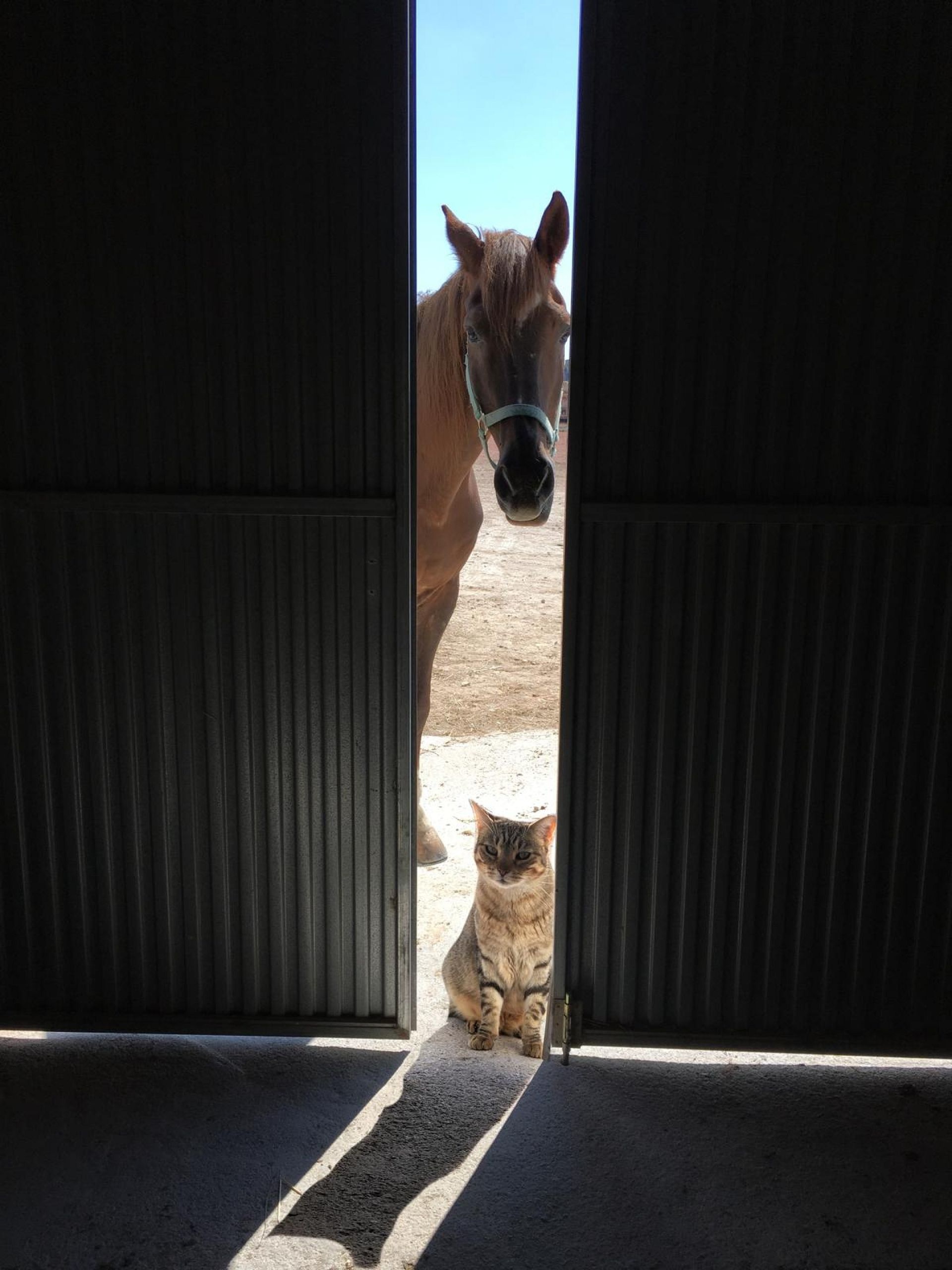 w_whatsapp-image-2025-04-30-at-10.42.36_19f18a32