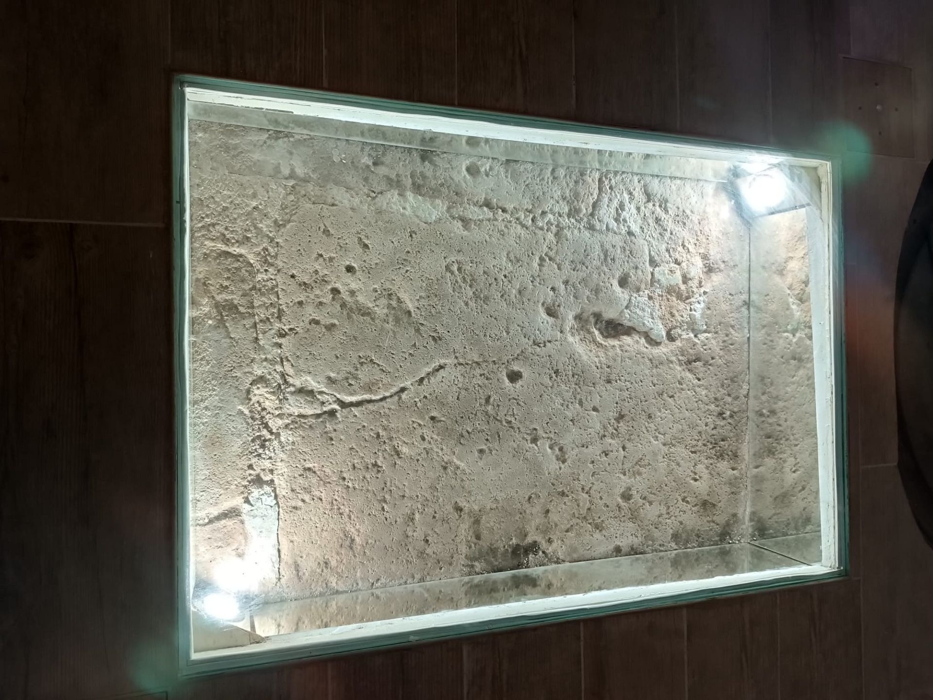 w_whatsapp-image-2025-04-30-at-20.20.34-4-