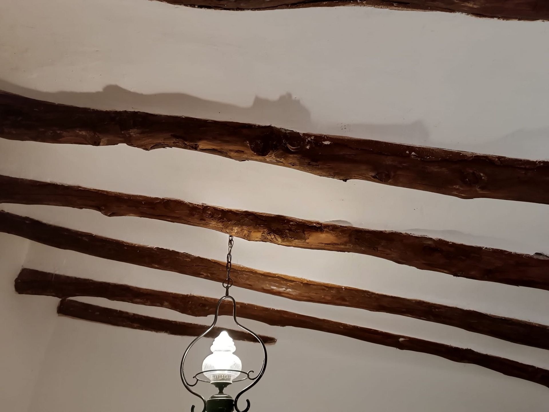 w_whatsapp-image-2025-04-30-at-20.20.39