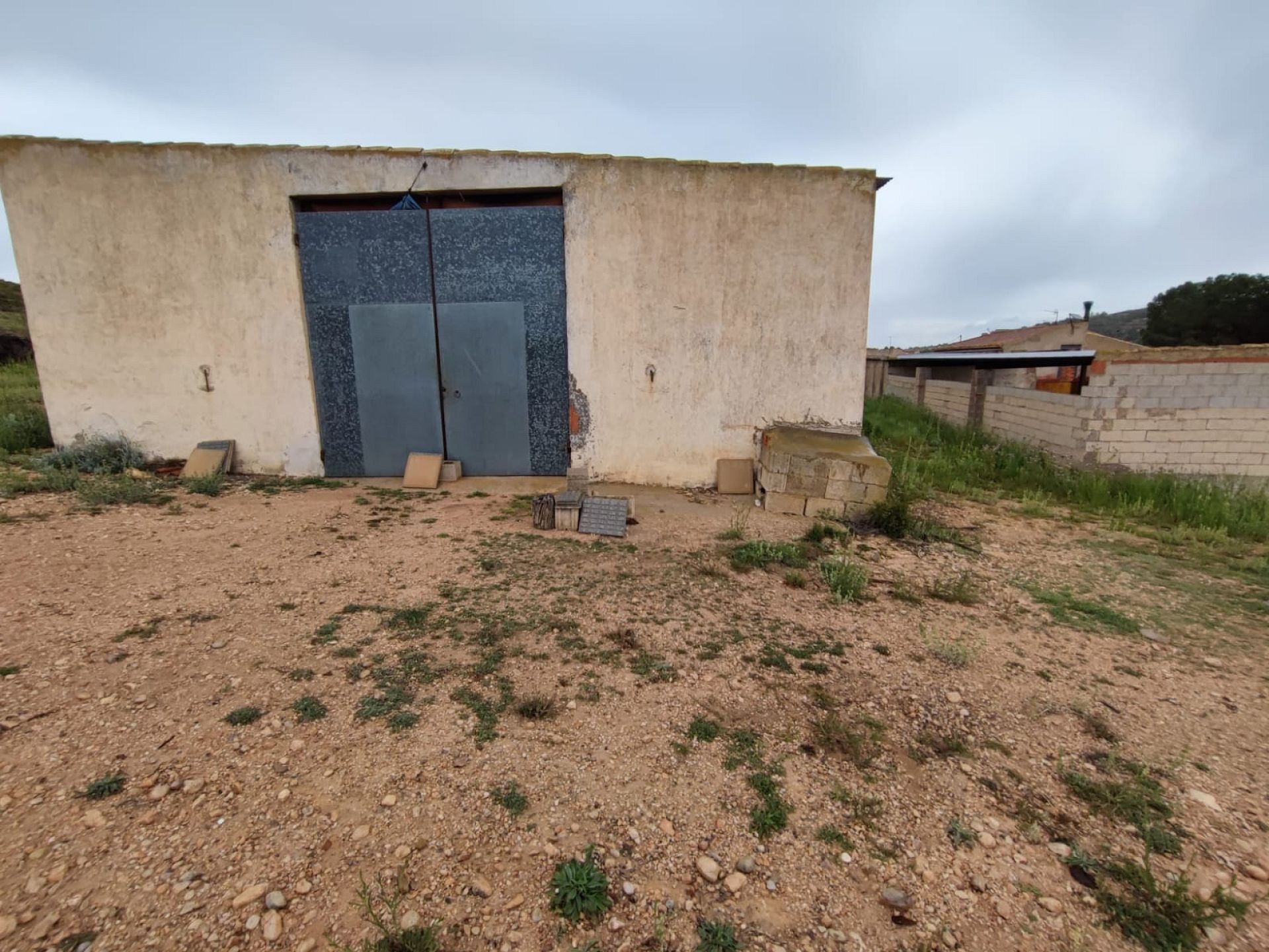 w_whatsapp-image-2025-05-09-at-16.04.05-2-