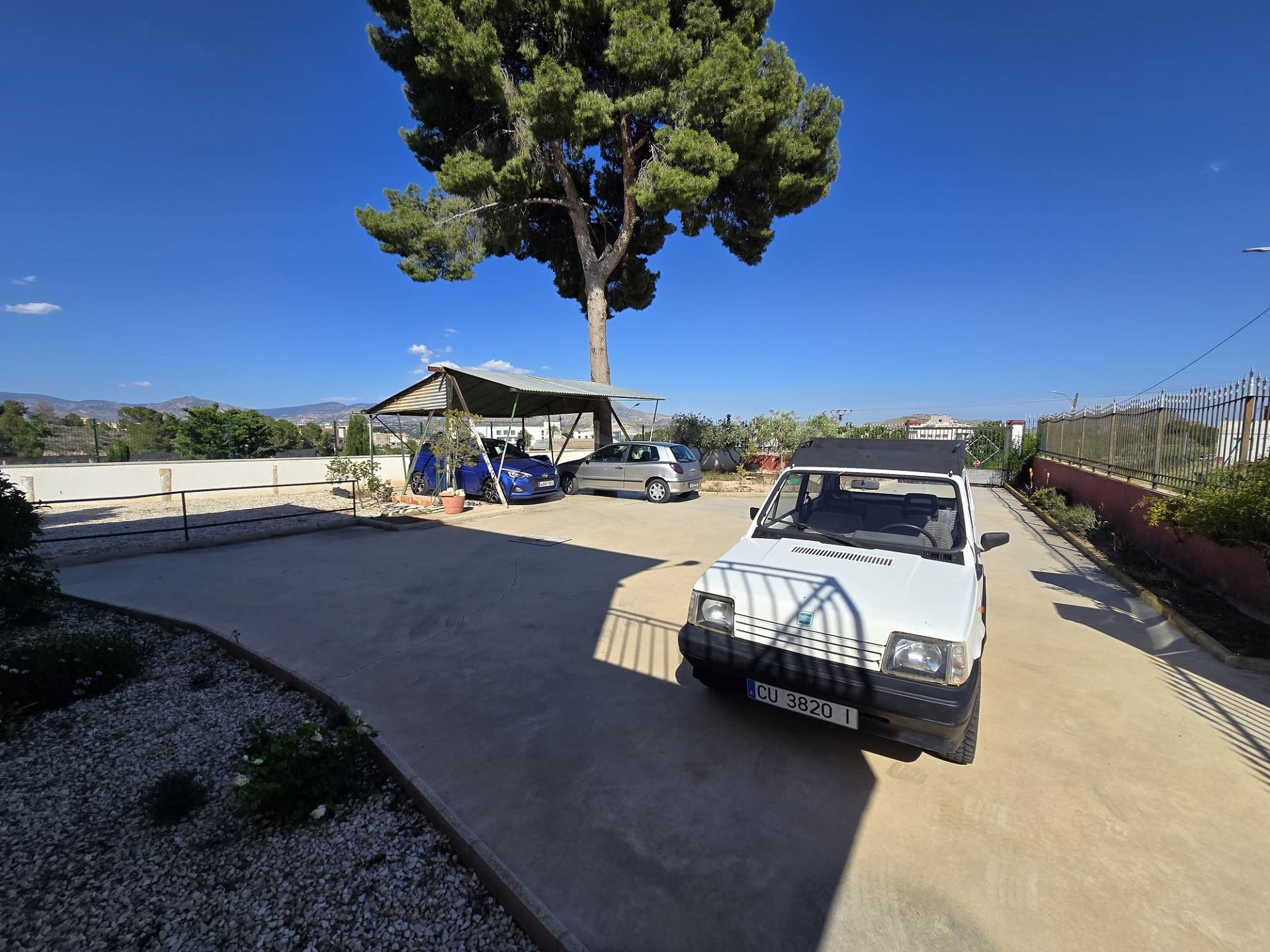 w_whatsapp-image-2025-05-19-at-20.22.09