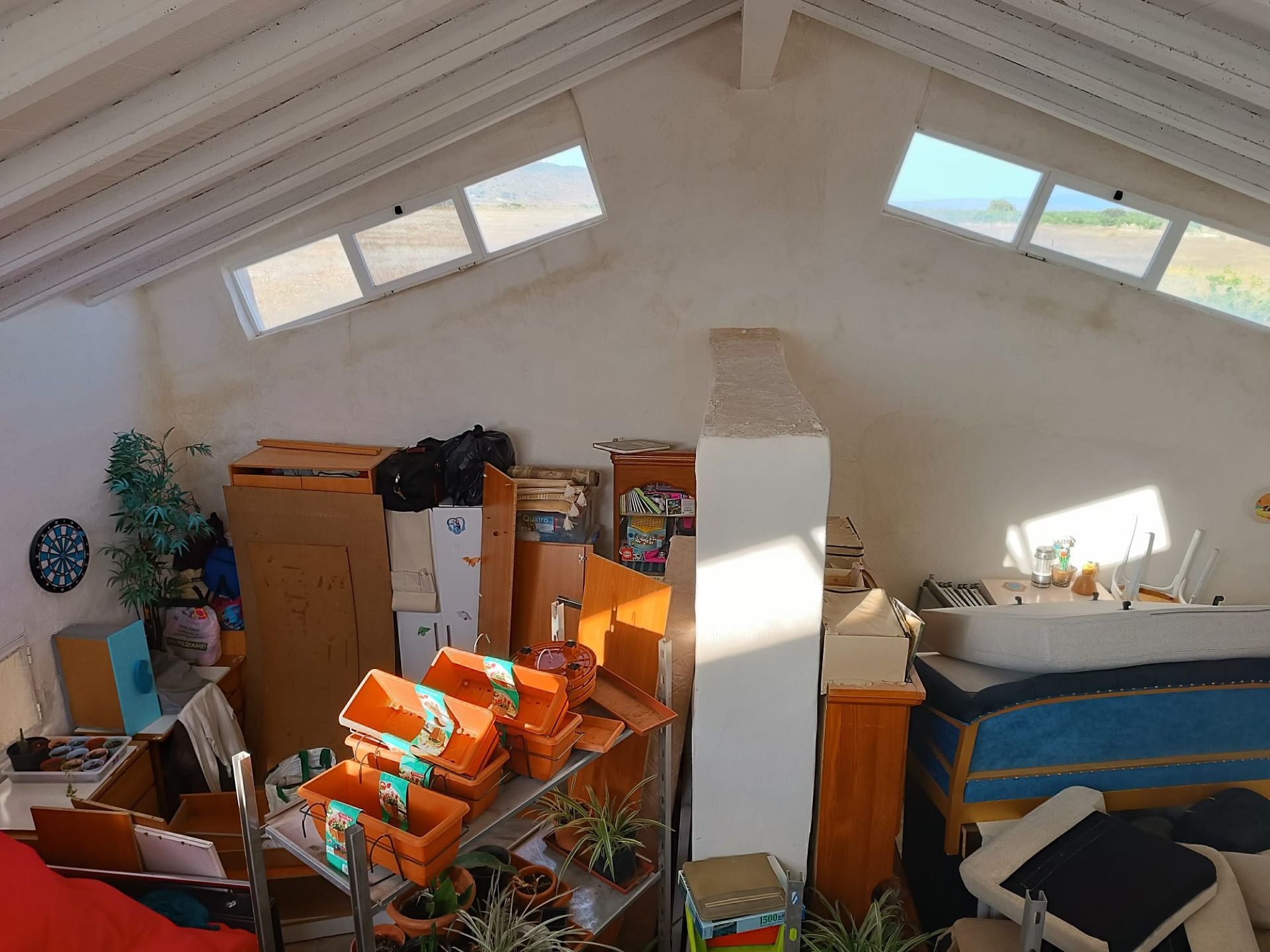 w_whatsapp-image-2025-06-03-at-10.50.14-5-