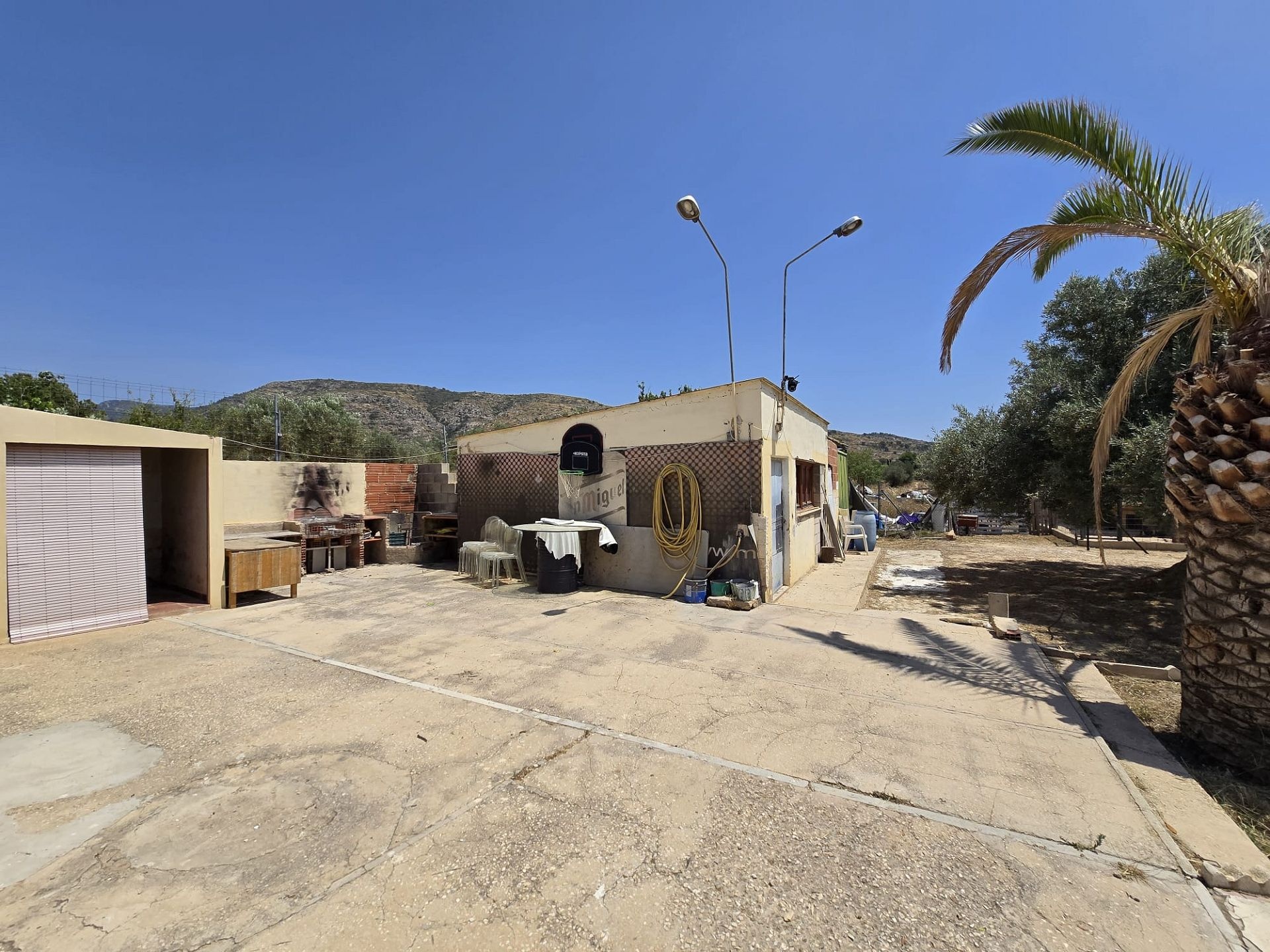 w_whatsapp-image-2025-06-25-at-12.21.13-8-