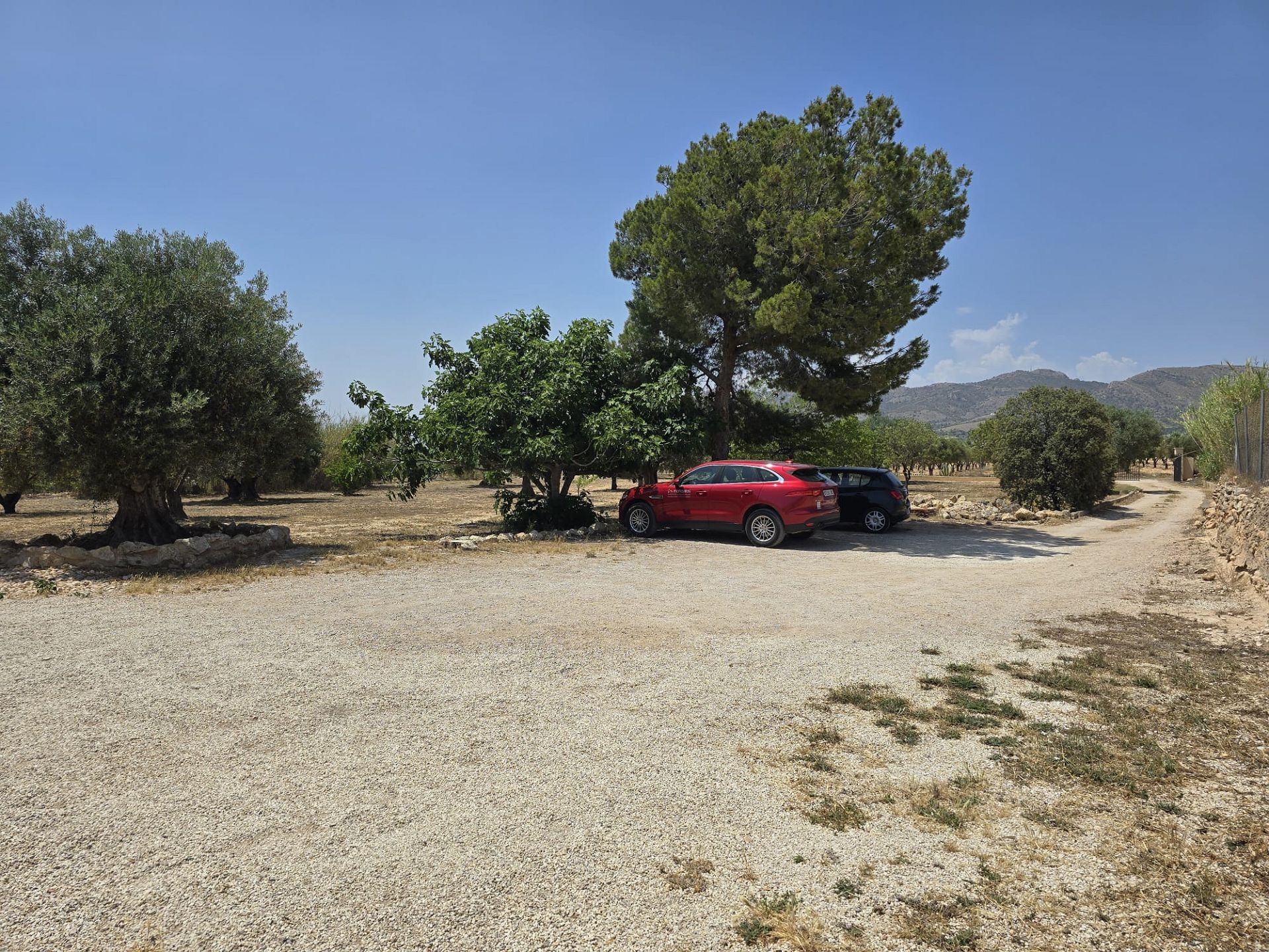 w_whatsapp-image-2025-06-25-at-12.21.14-6-