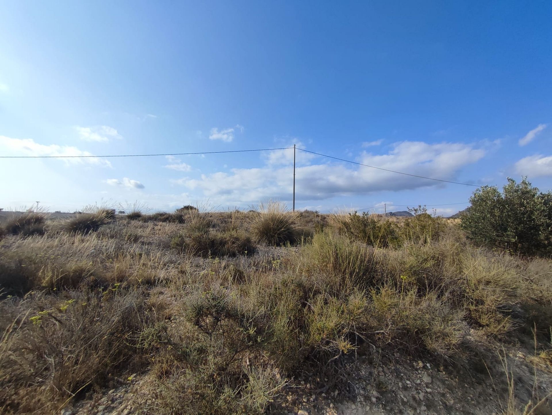 w_whatsapp-image-2025-07-08-at-19.45.20-2-