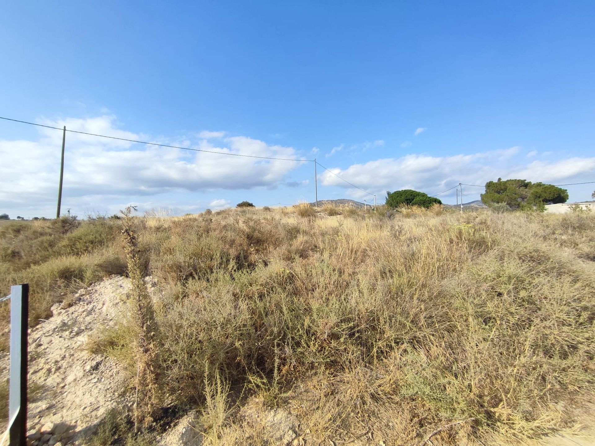 w_whatsapp-image-2025-07-08-at-19.45.20