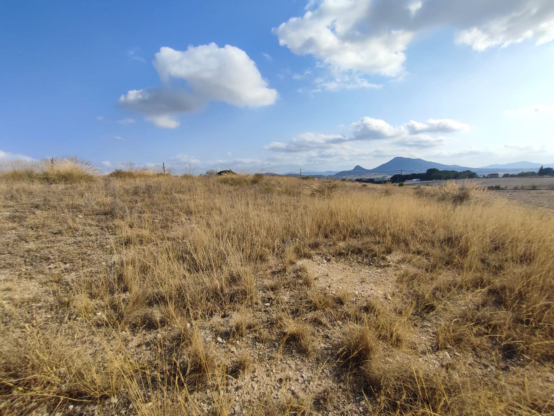 w_whatsapp-image-2025-07-08-at-19.45.27-2-