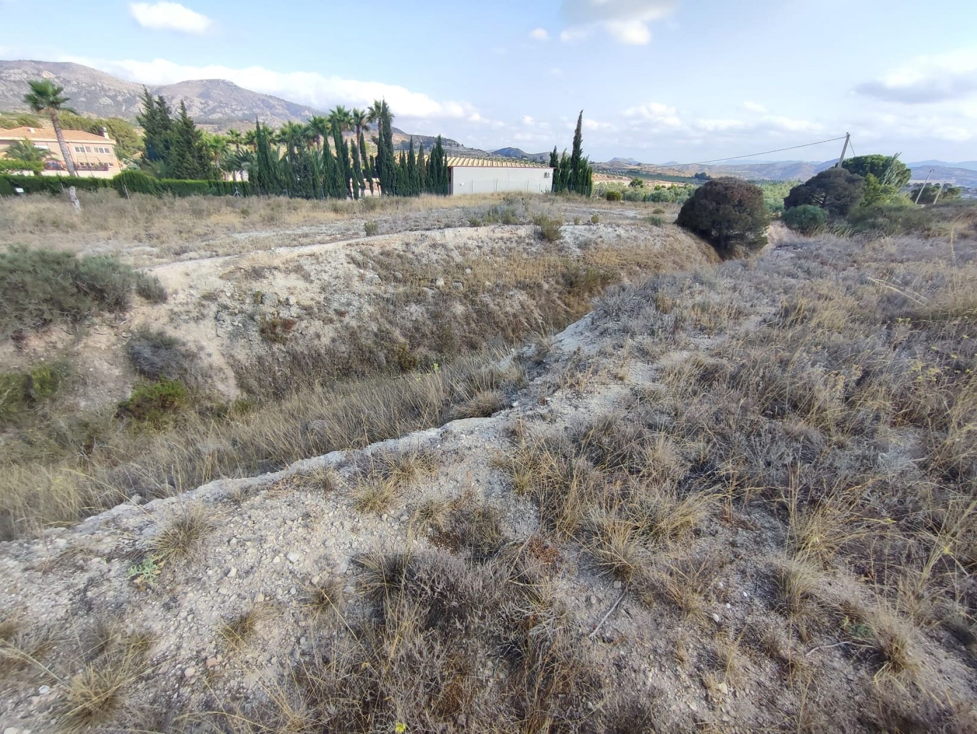 w_whatsapp-image-2025-07-08-at-19.45.27-4-