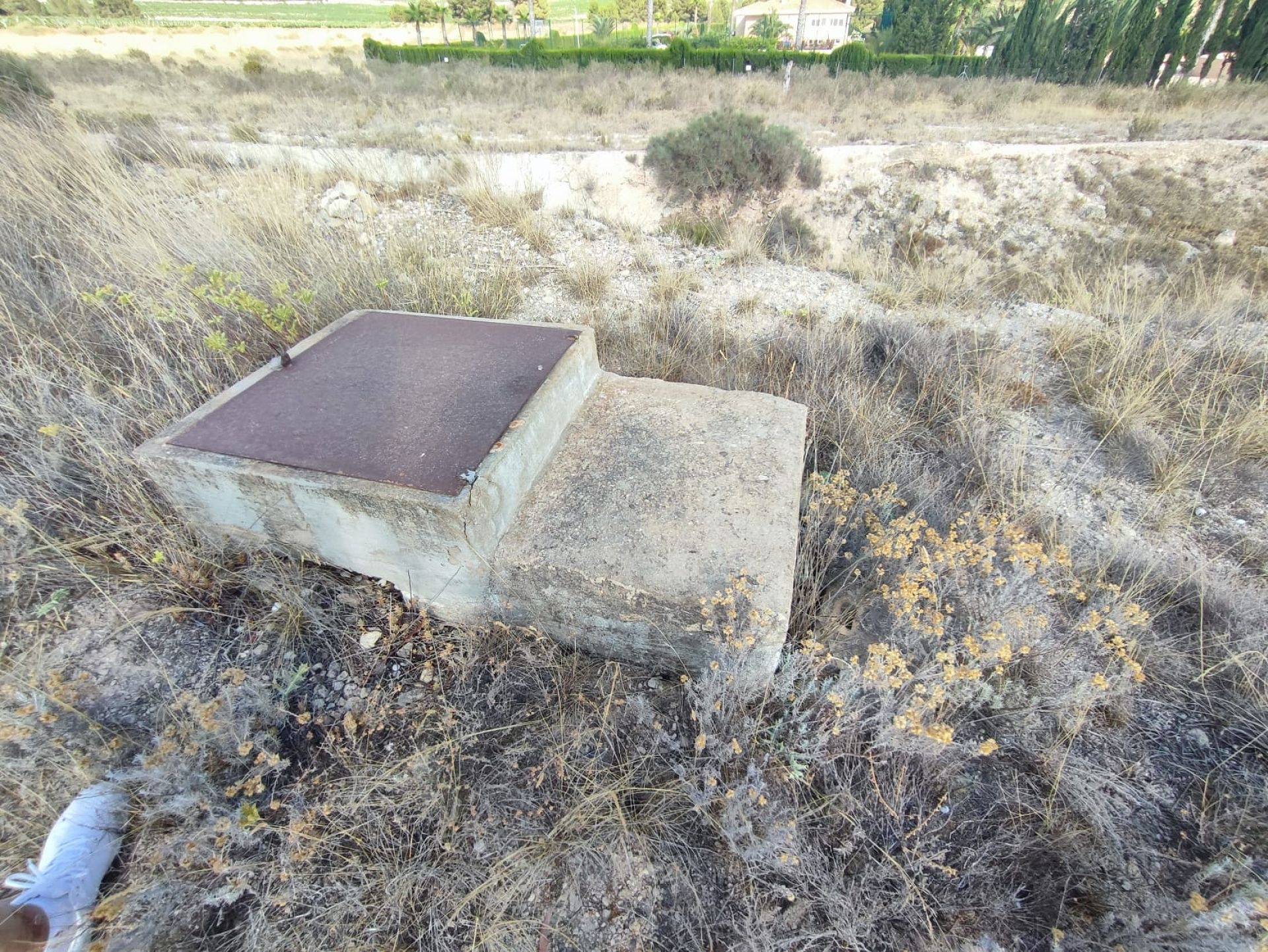 w_whatsapp-image-2025-07-08-at-19.45.27-5-