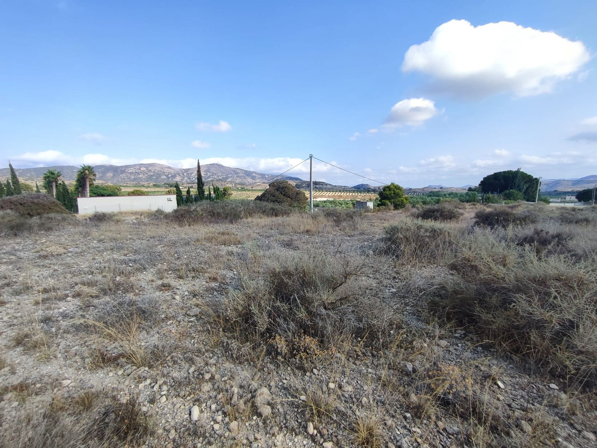 w_whatsapp-image-2025-07-08-at-19.45.27-6-