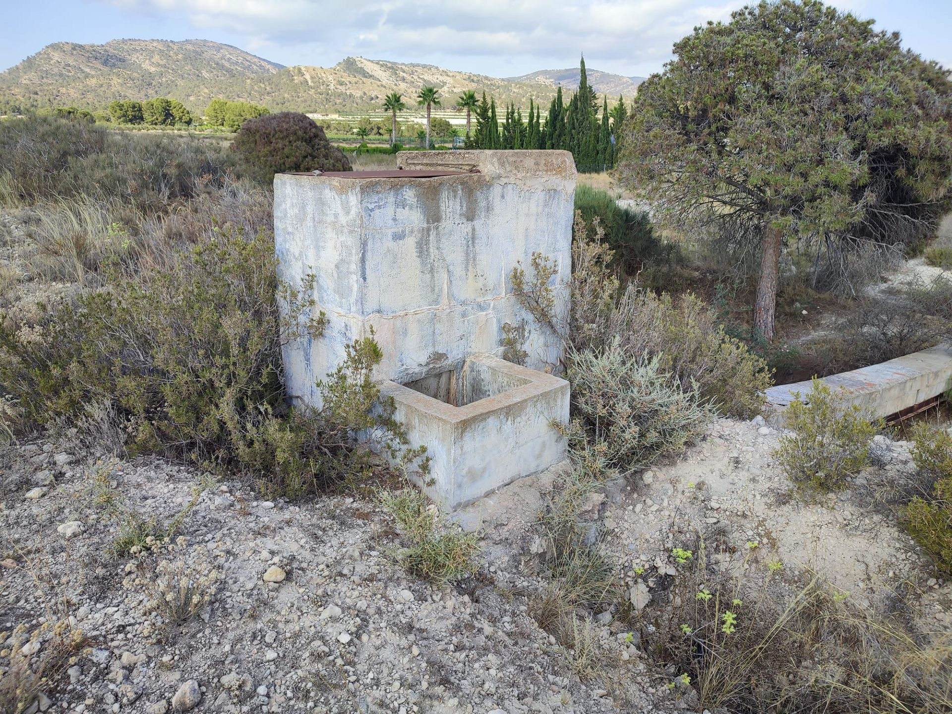 w_whatsapp-image-2025-07-08-at-19.45.28-6-