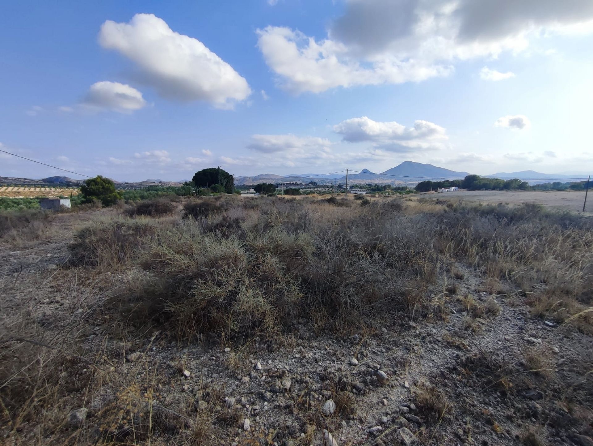 w_whatsapp-image-2025-07-08-at-19.45.28