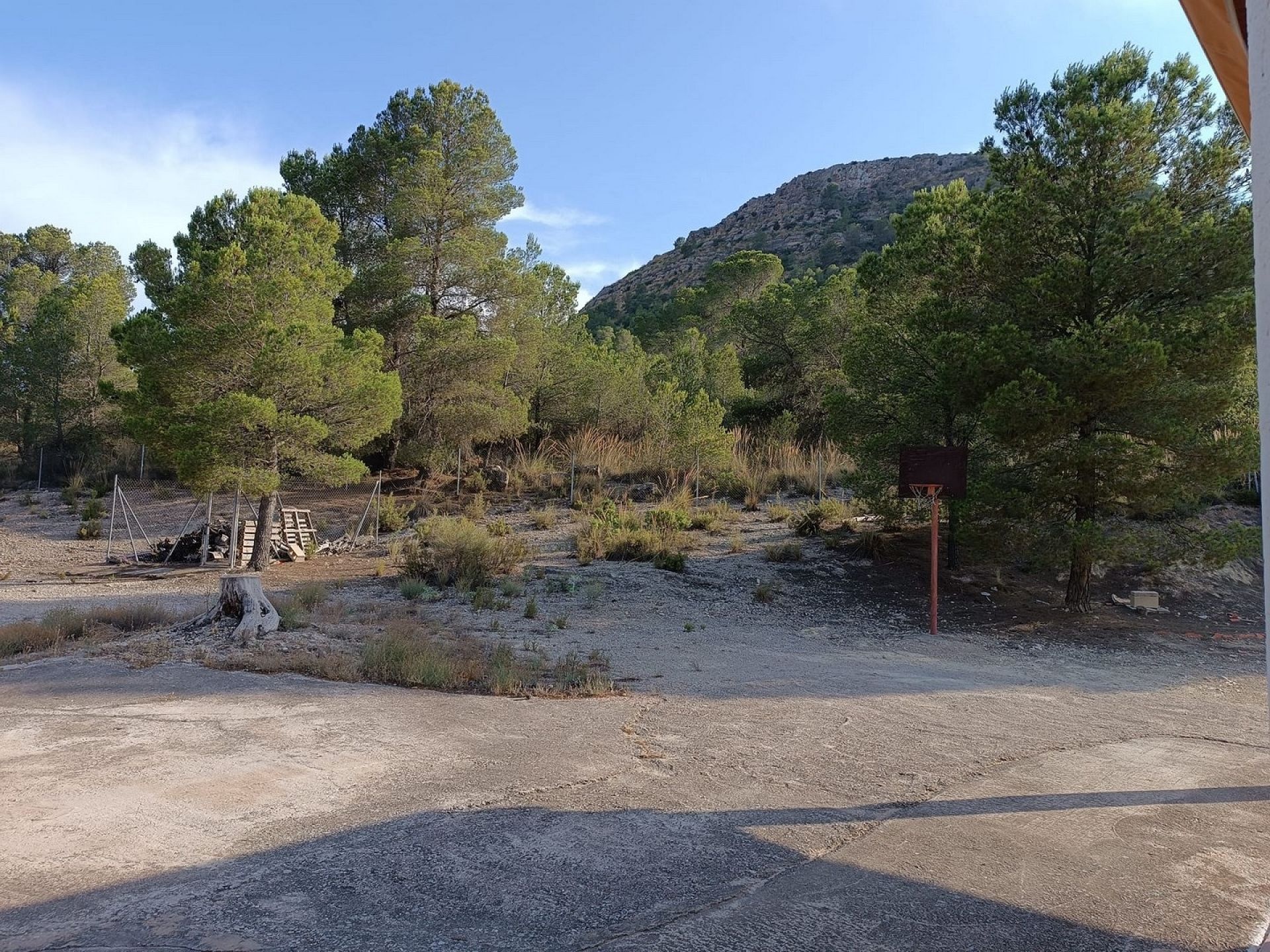 w_whatsapp-image-2025-07-11-at-20.08.43