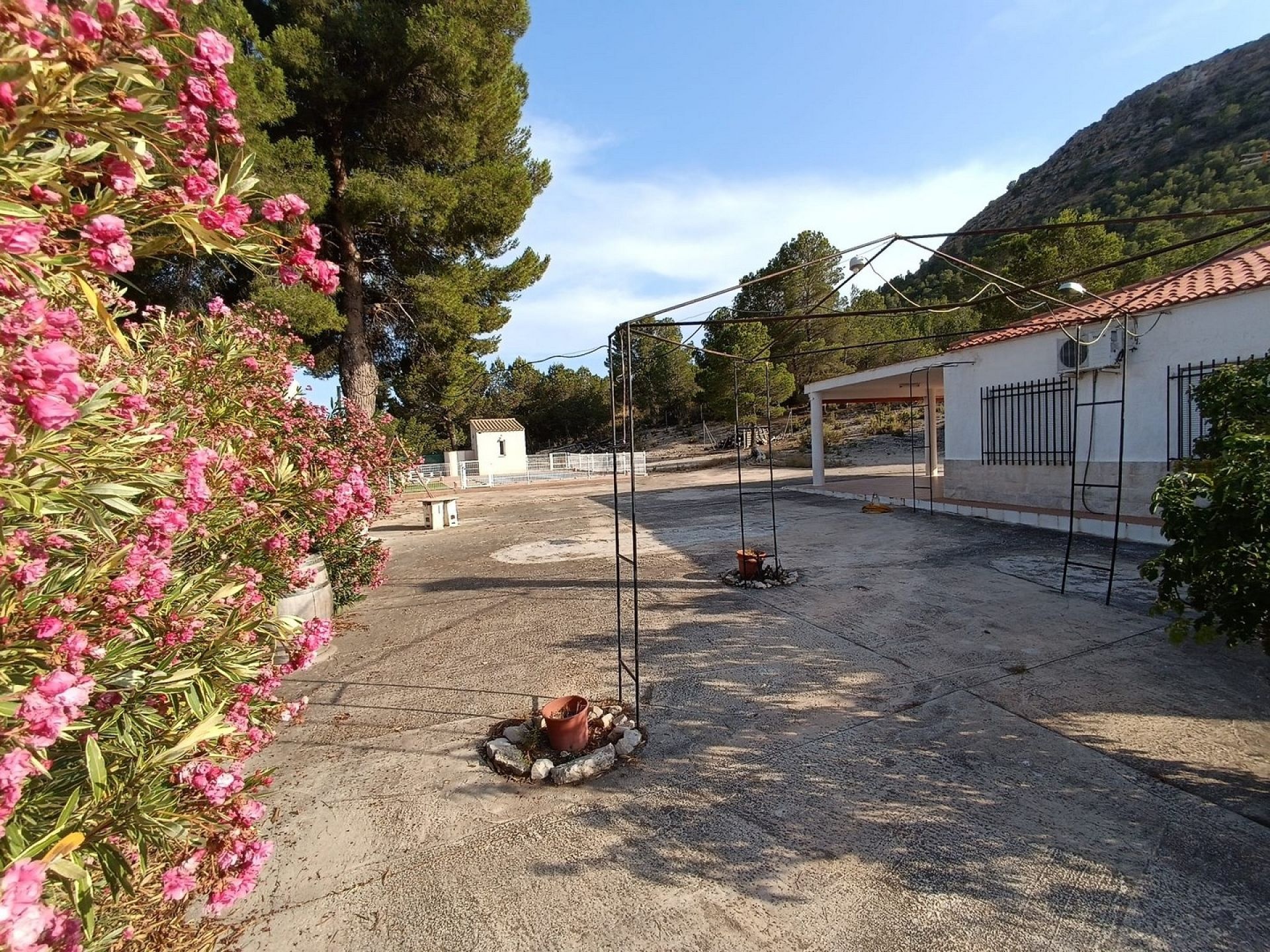 w_whatsapp-image-2025-07-11-at-20.08.49-3-