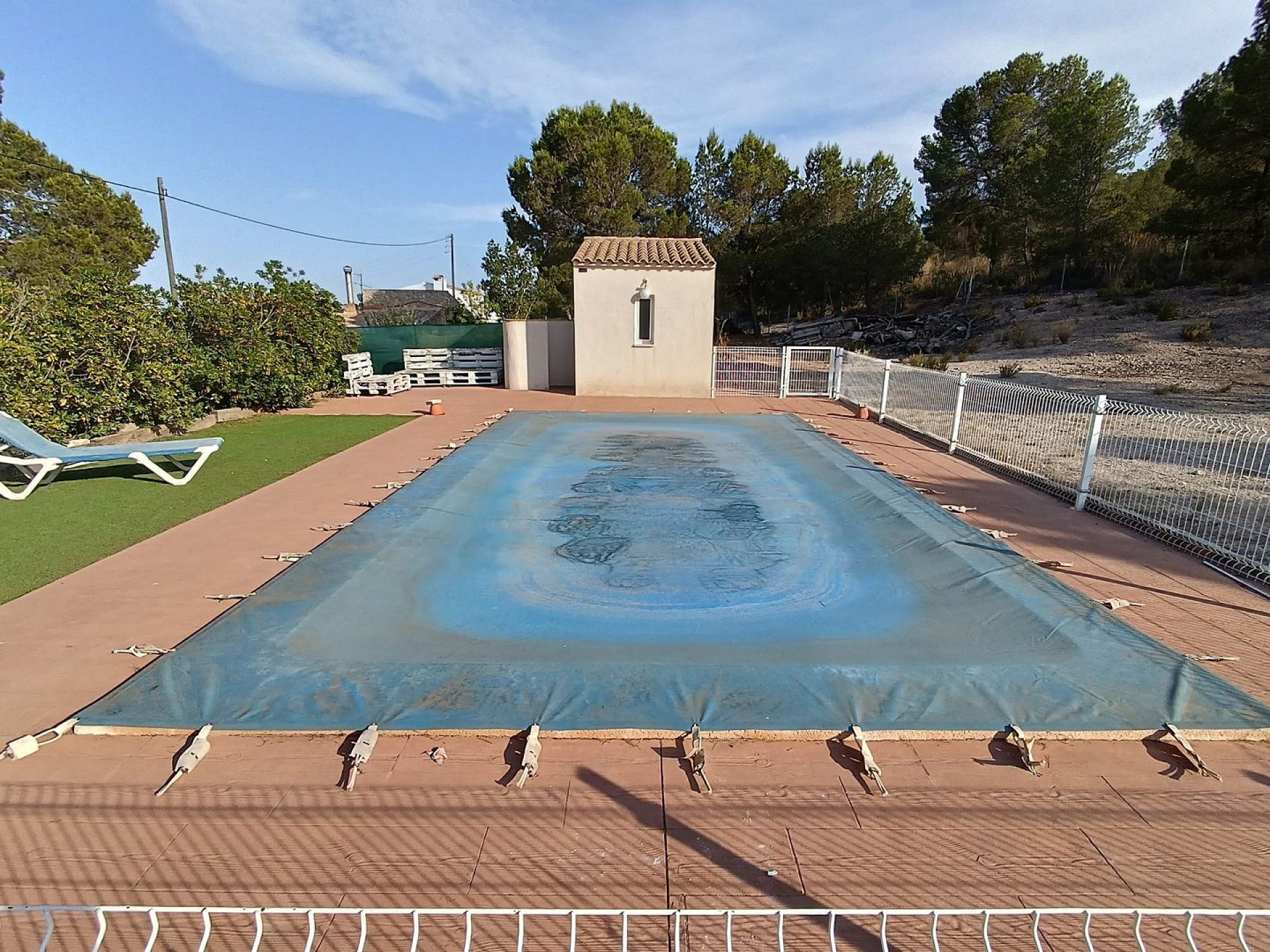 w_whatsapp-image-2025-07-11-at-20.08.50-1-