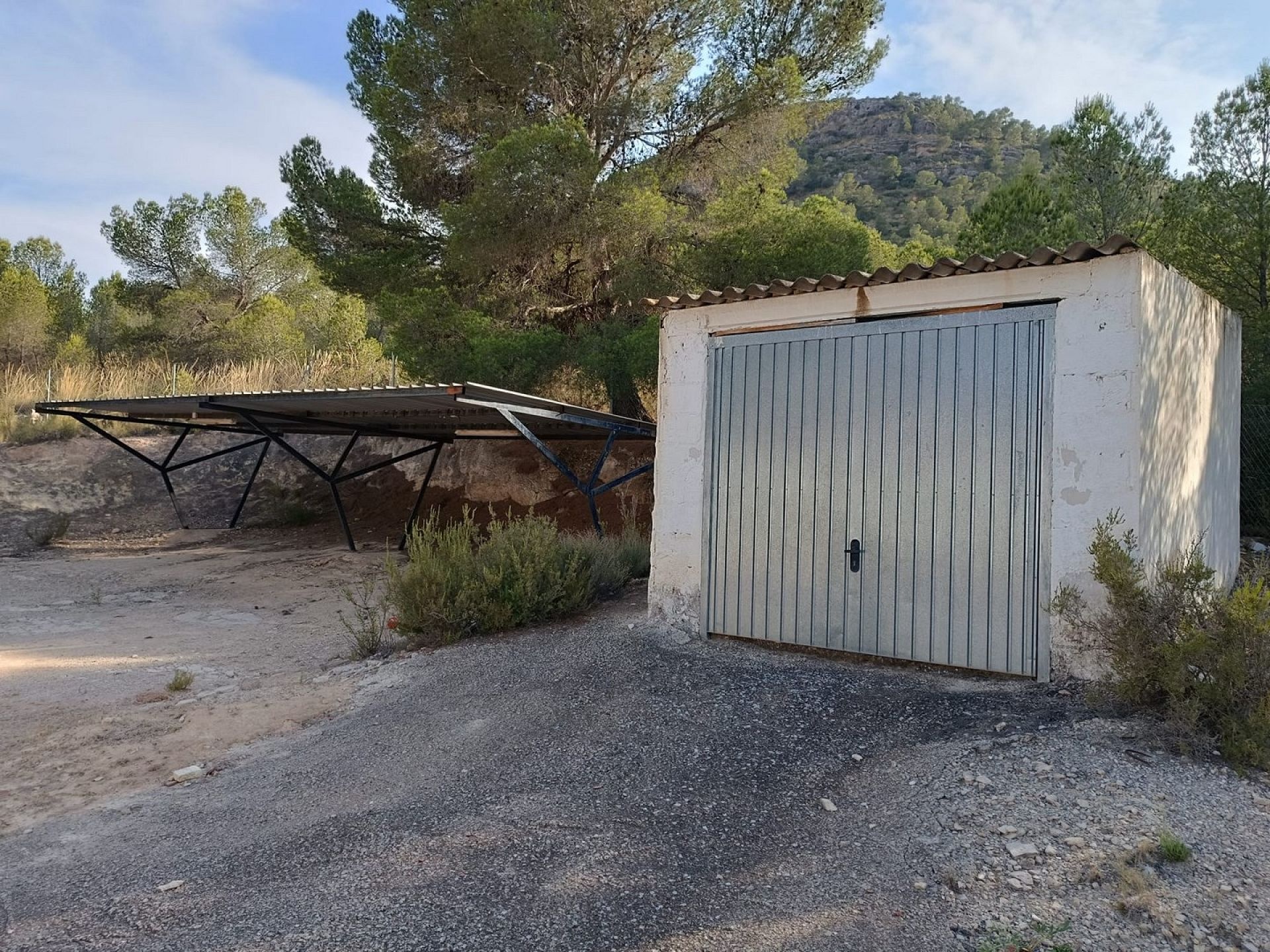 w_whatsapp-image-2025-07-11-at-20.08.50-4-