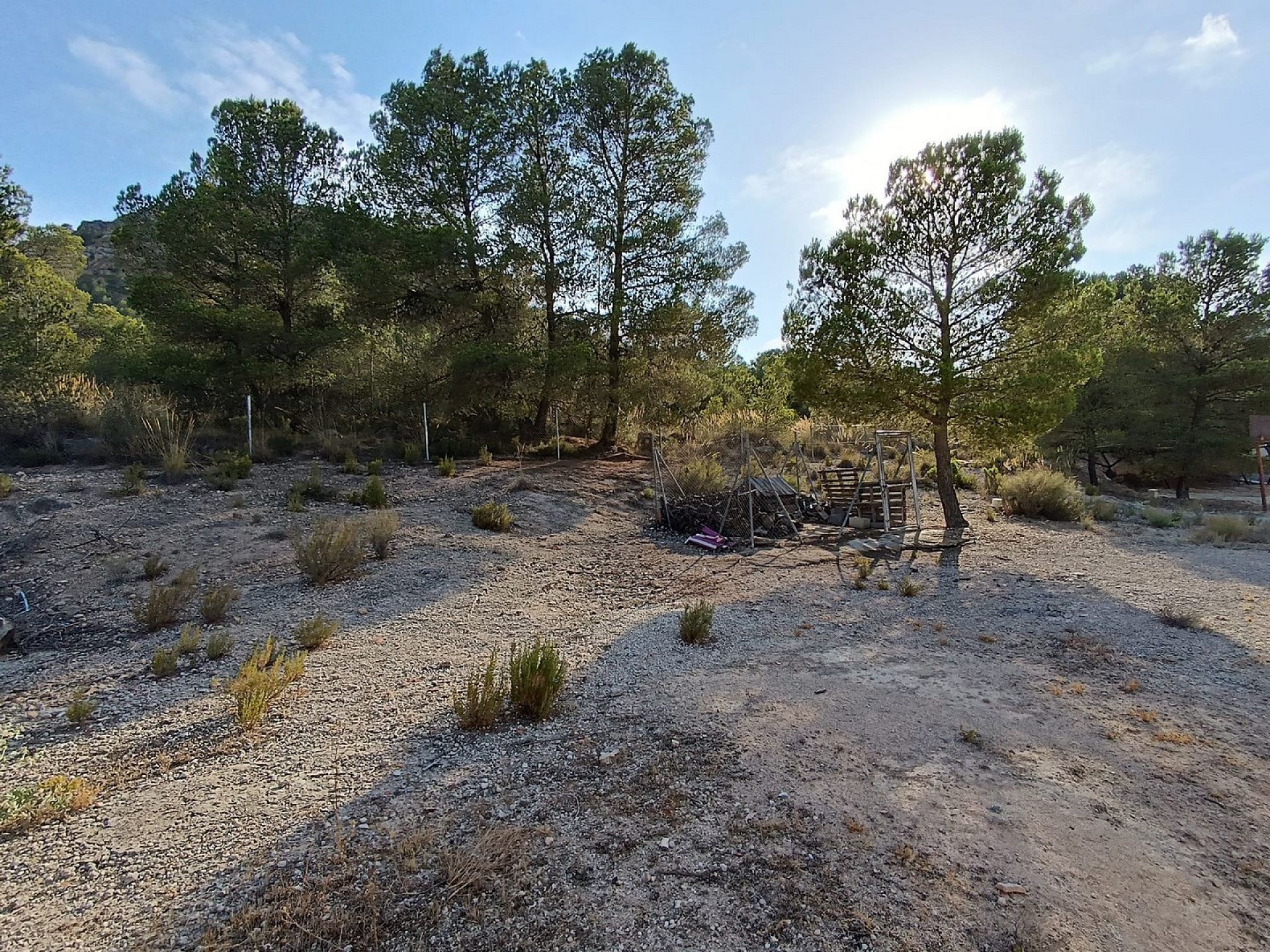 w_whatsapp-image-2025-07-11-at-20.08.50