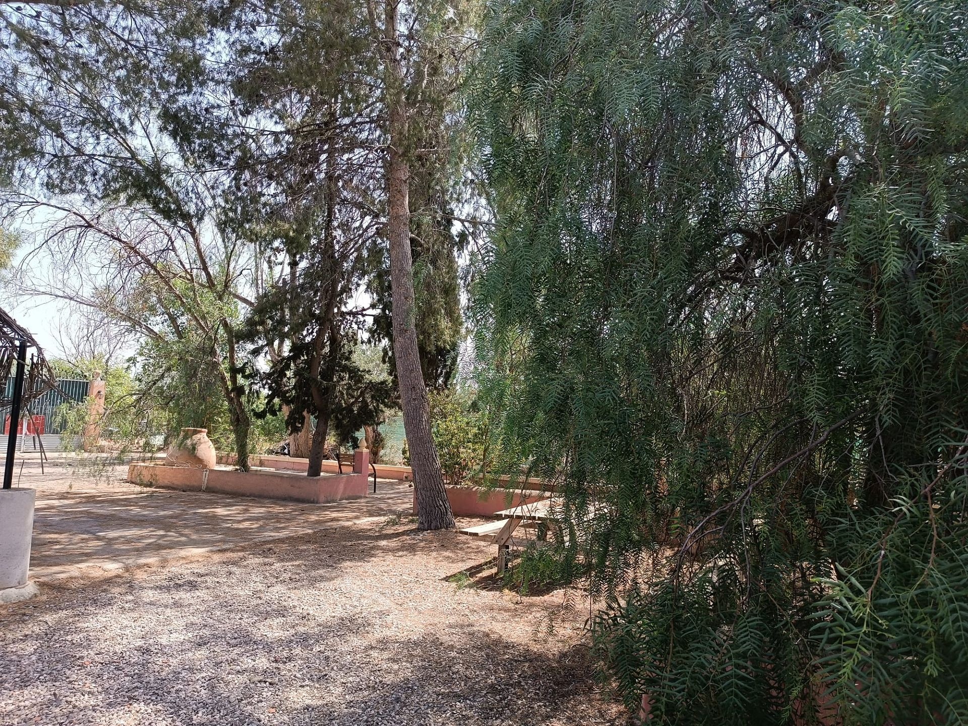 w_whatsapp-image-2025-07-15-at-16.36.38-8-