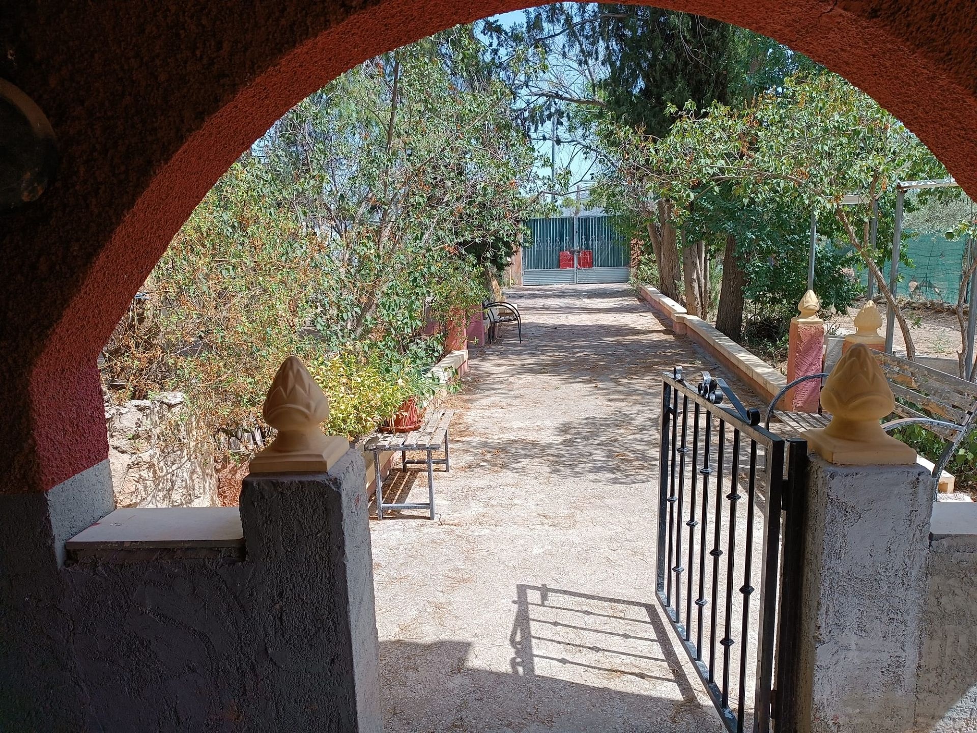 w_whatsapp-image-2025-07-15-at-16.36.39-2-